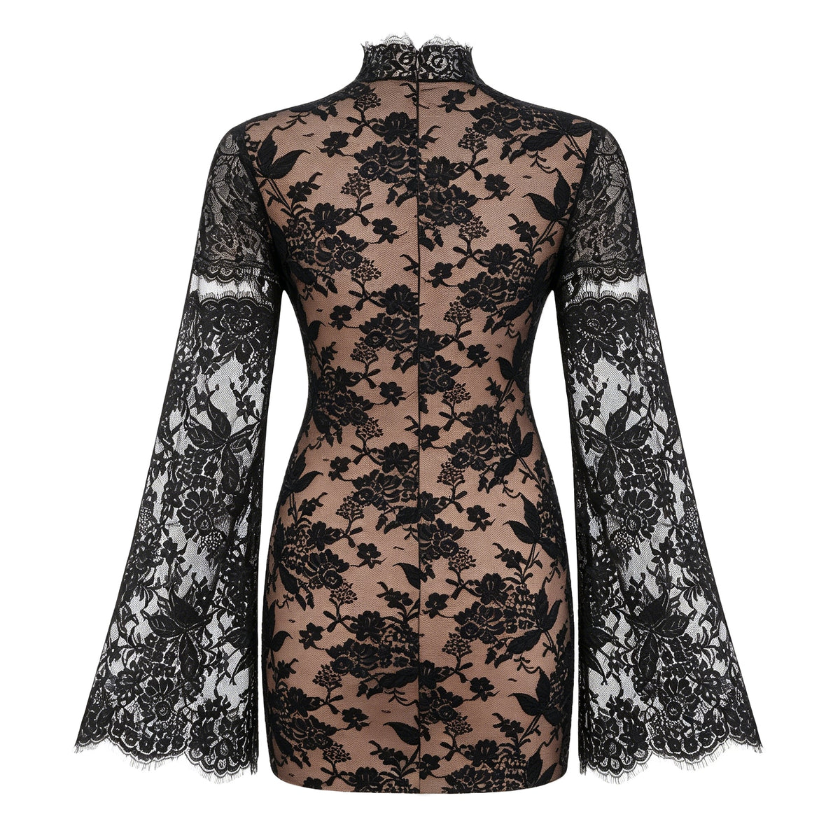 Bulelwa Black Semi-Sheer Floral Lace Mini Dress