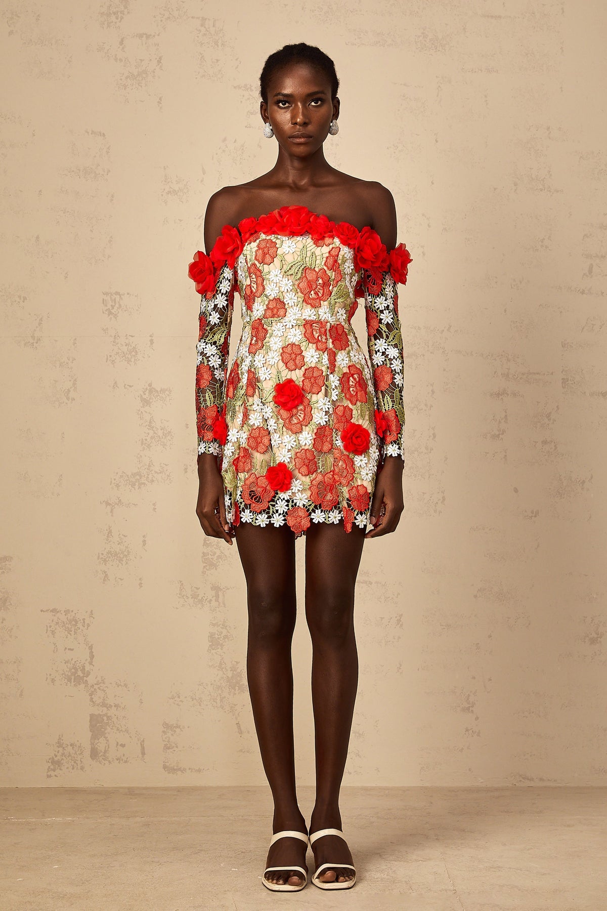 Anaya Red Rose Appliqué Embroidered Mini Dress