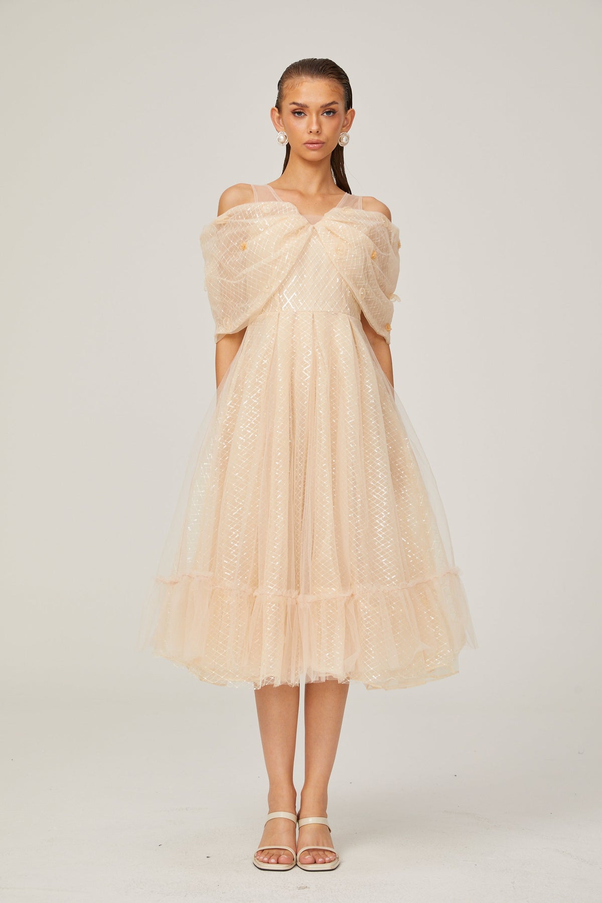 Danielle sequined tulle midi dress