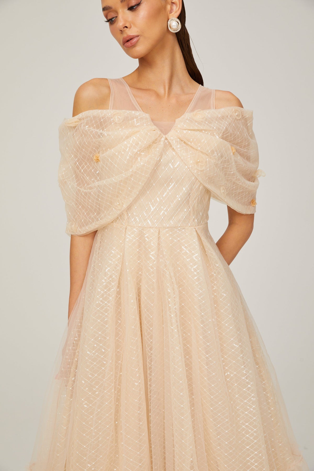Danielle sequined tulle midi dress