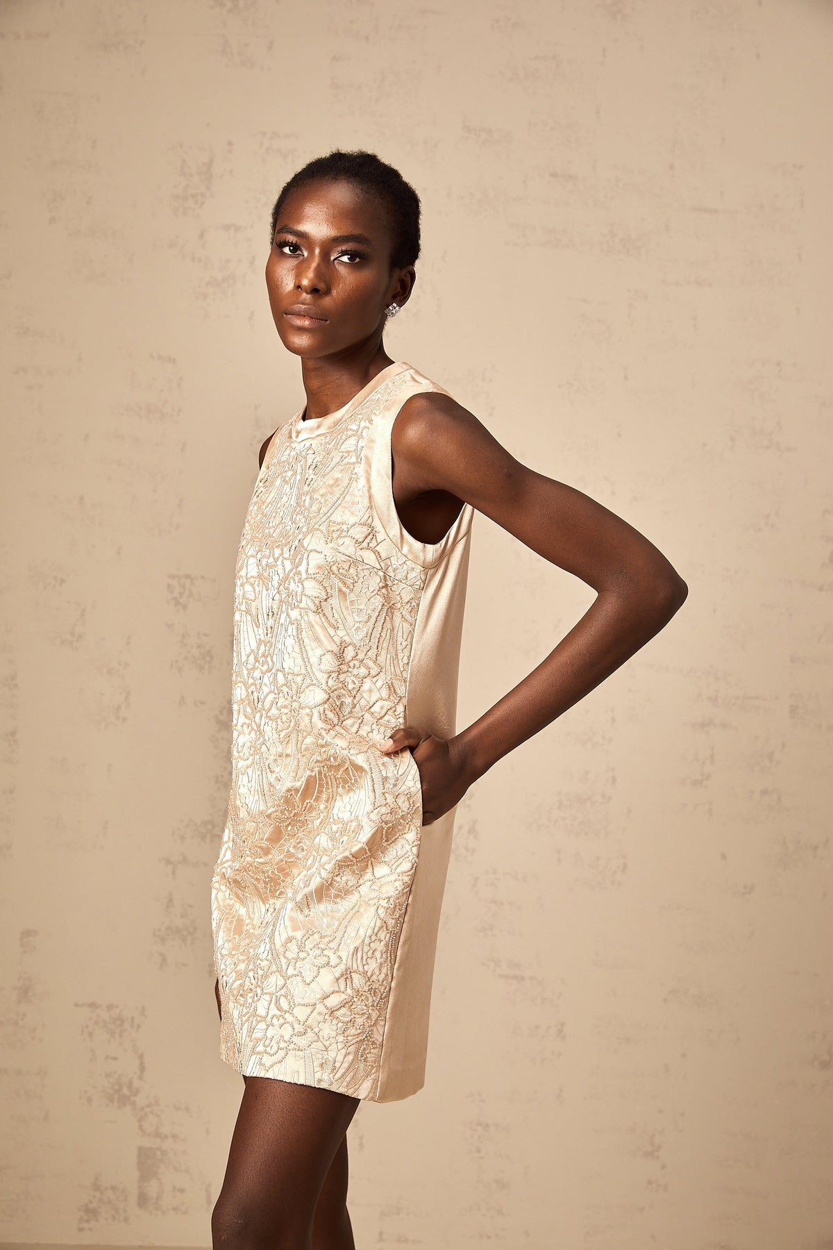 Isabelle embroidered bead-embellished mini dress