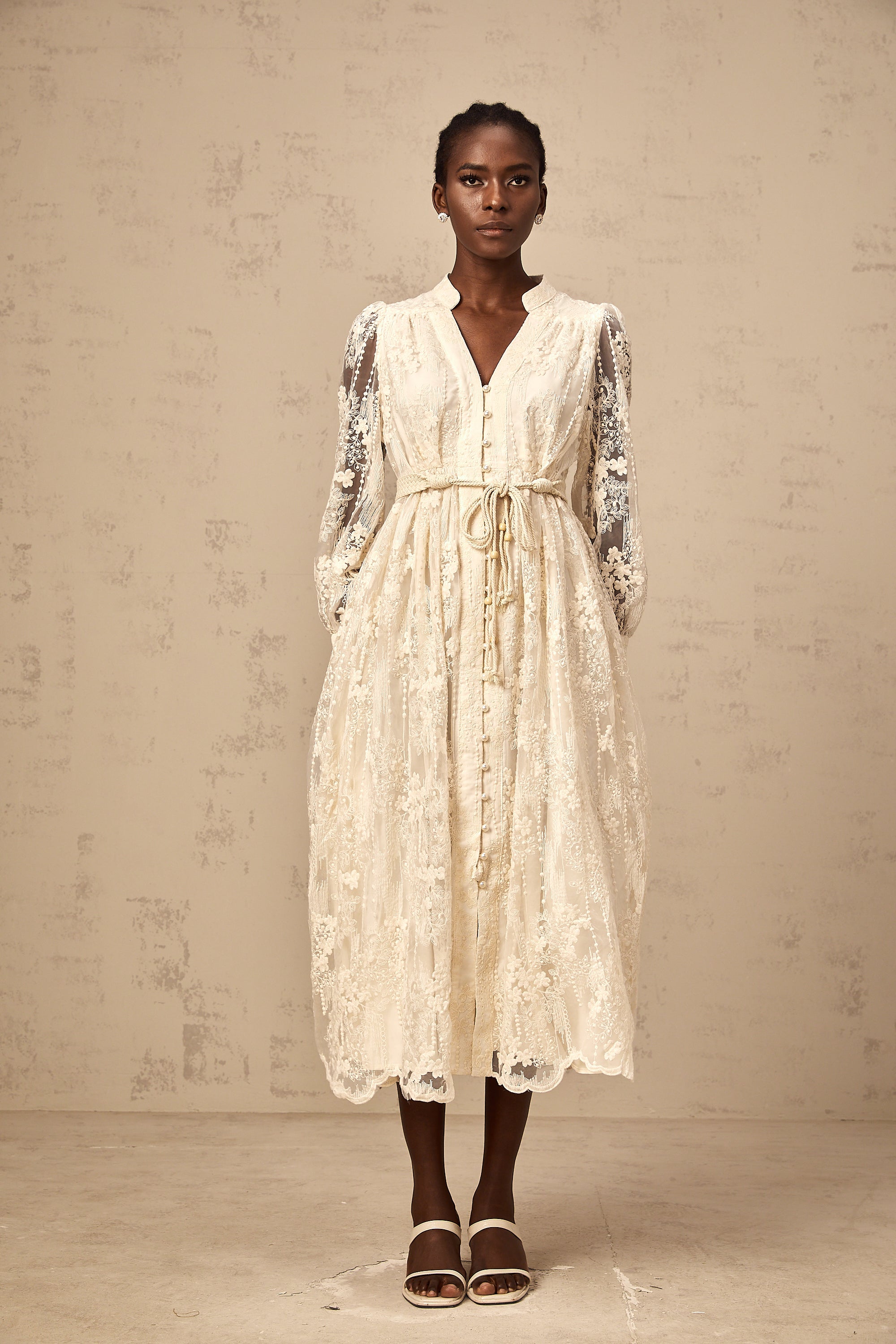 Roxane neutrals lace-embroidered midi dress