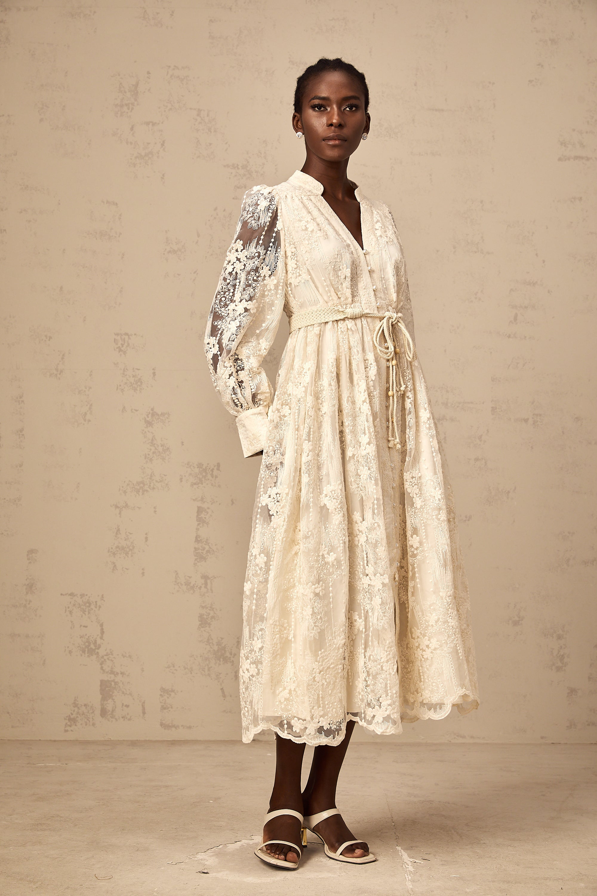 Roxane neutrals lace-embroidered midi dress