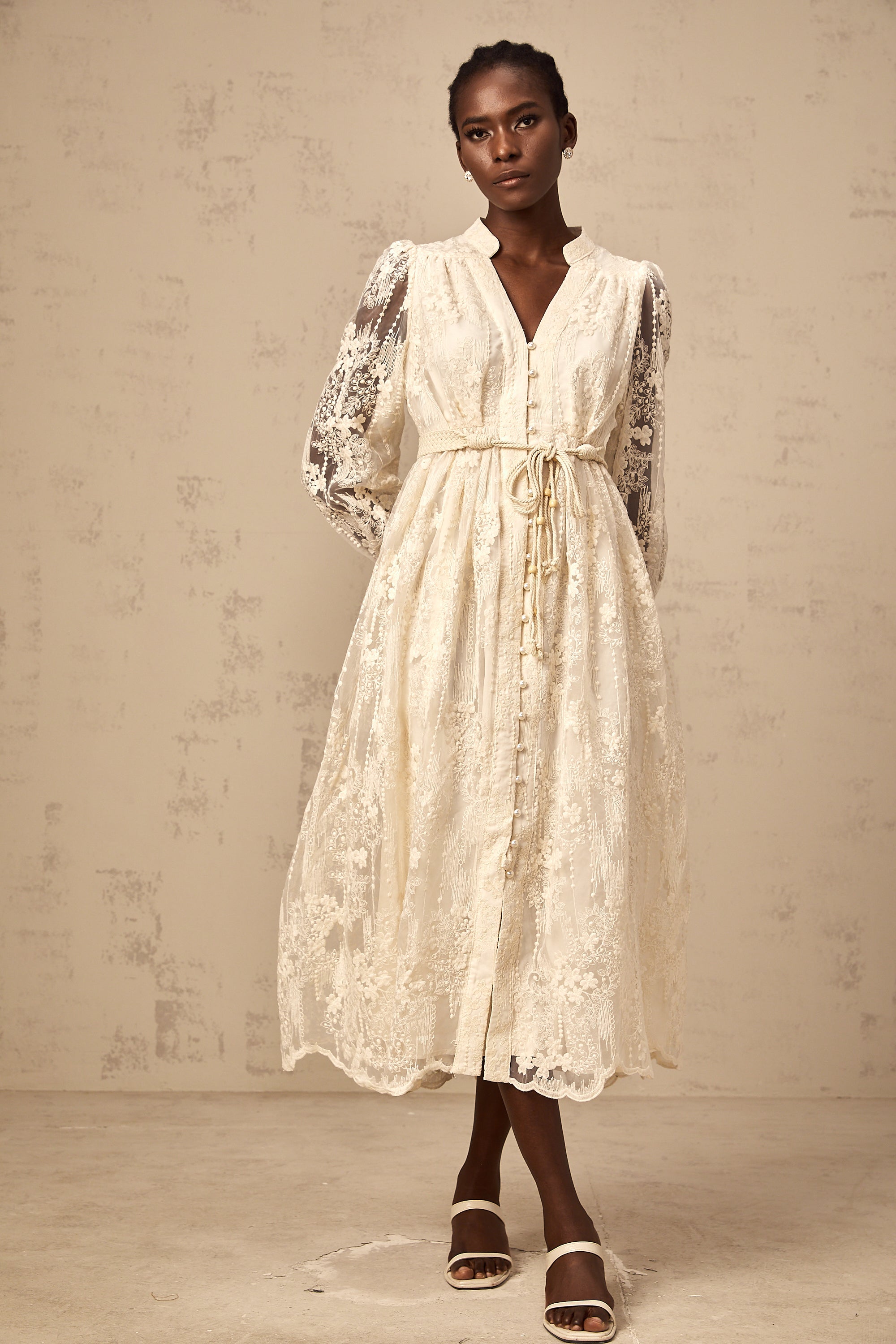 Roxane neutrals lace-embroidered midi dress