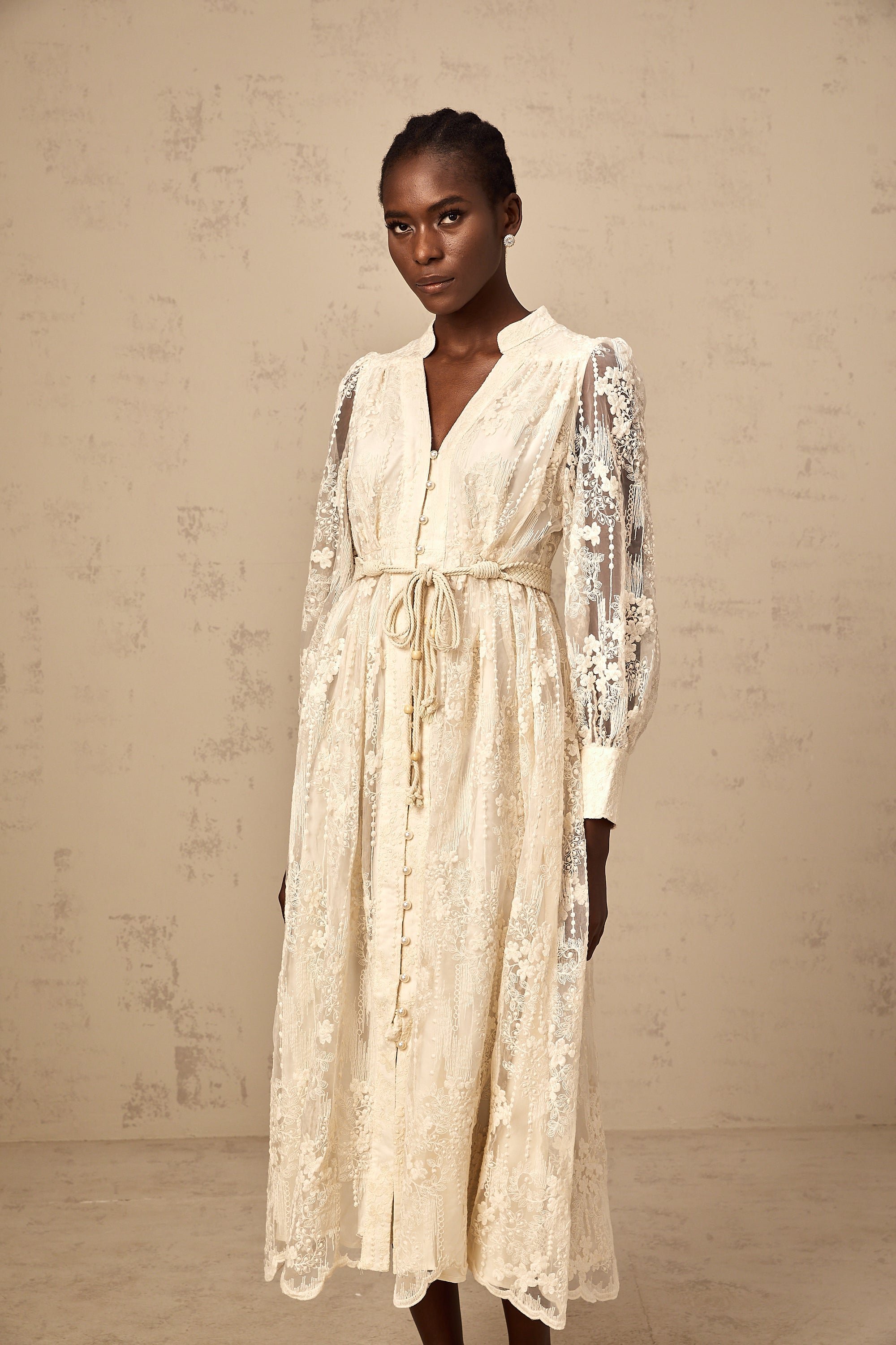 Roxane neutrals lace-embroidered midi dress
