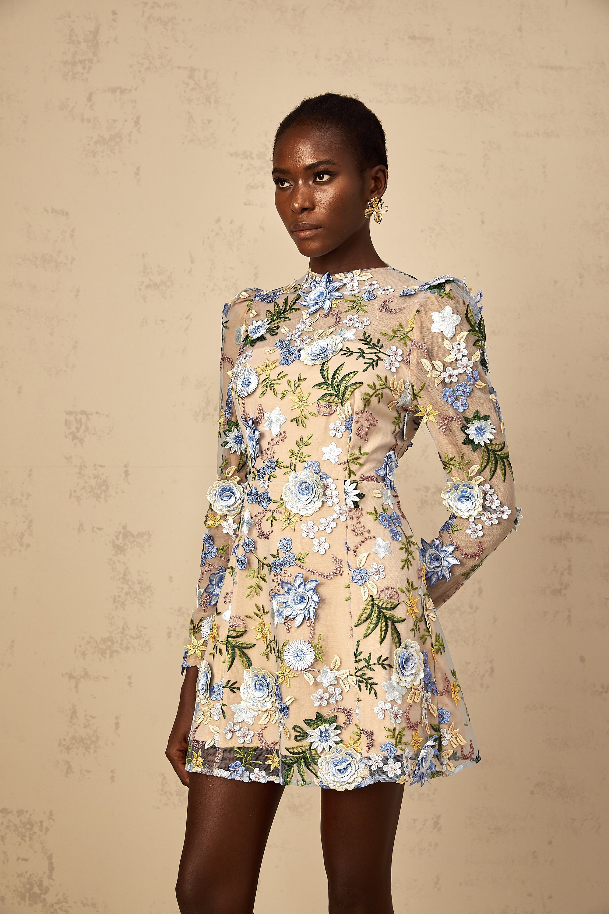 Jolien Blue Floral Appliqué Embroidered Tulle Mini Dress