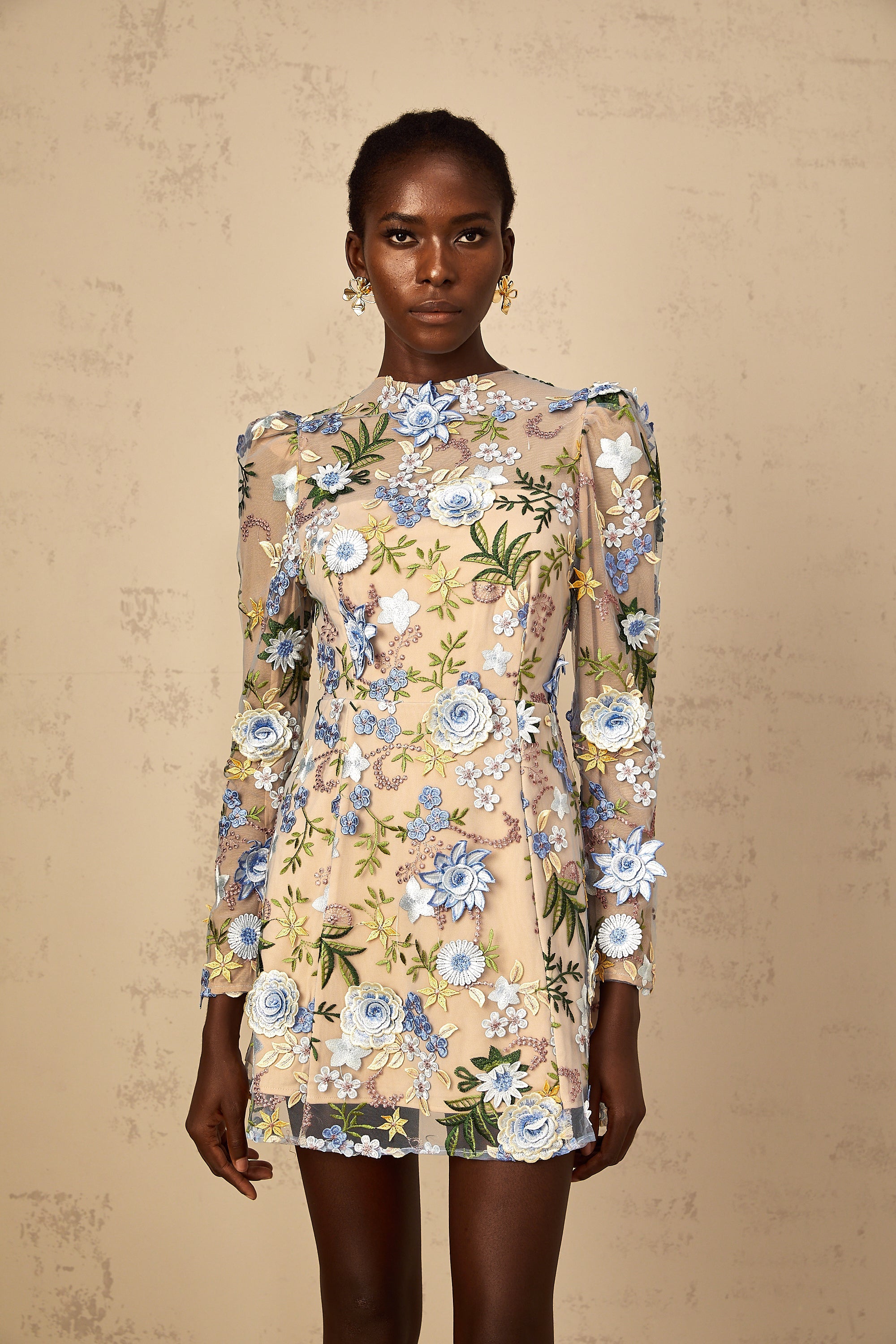 Jolien Blue Floral Appliqué Embroidered Tulle Mini Dress