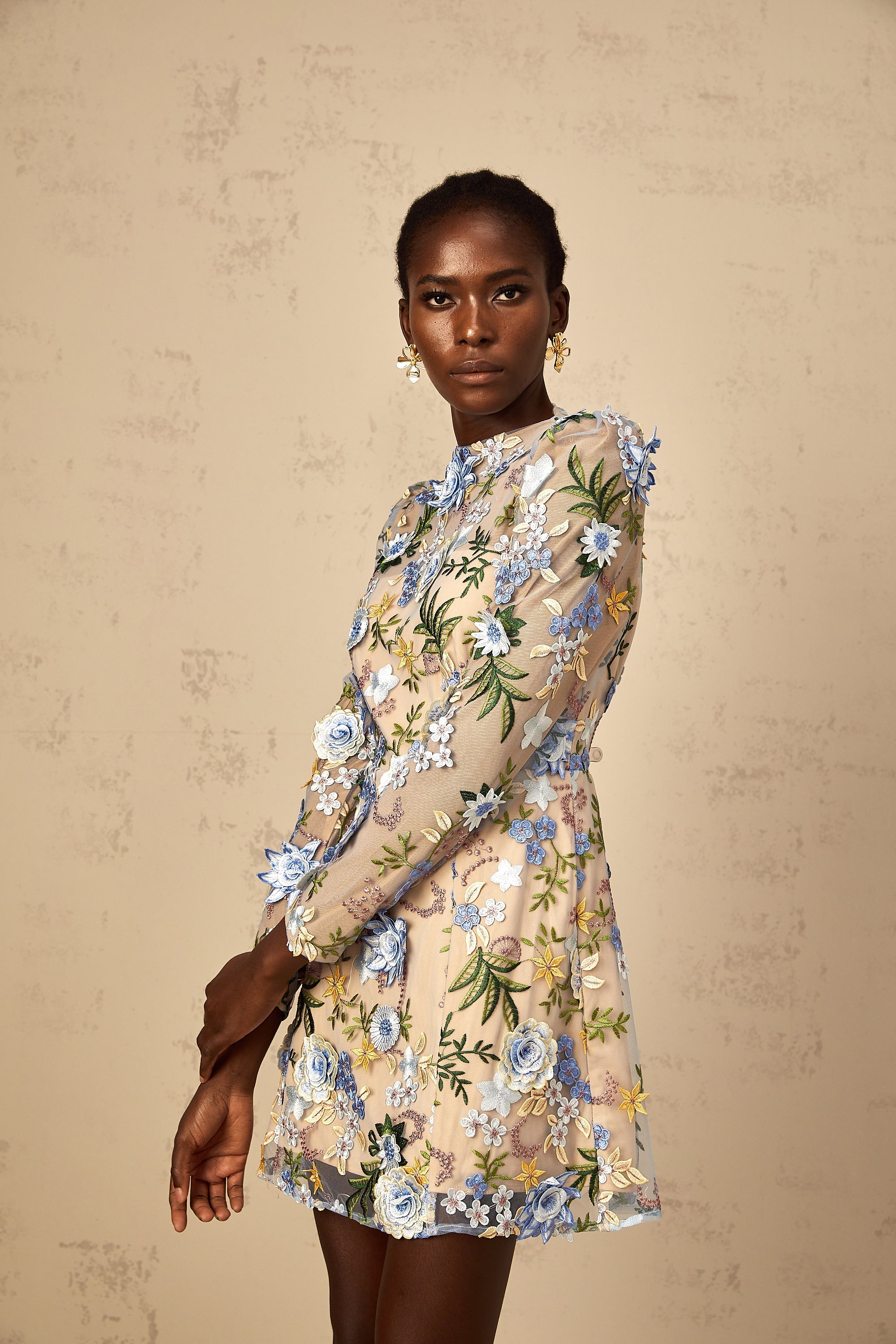 Jolien Blue Floral Appliqué Embroidered Tulle Mini Dress