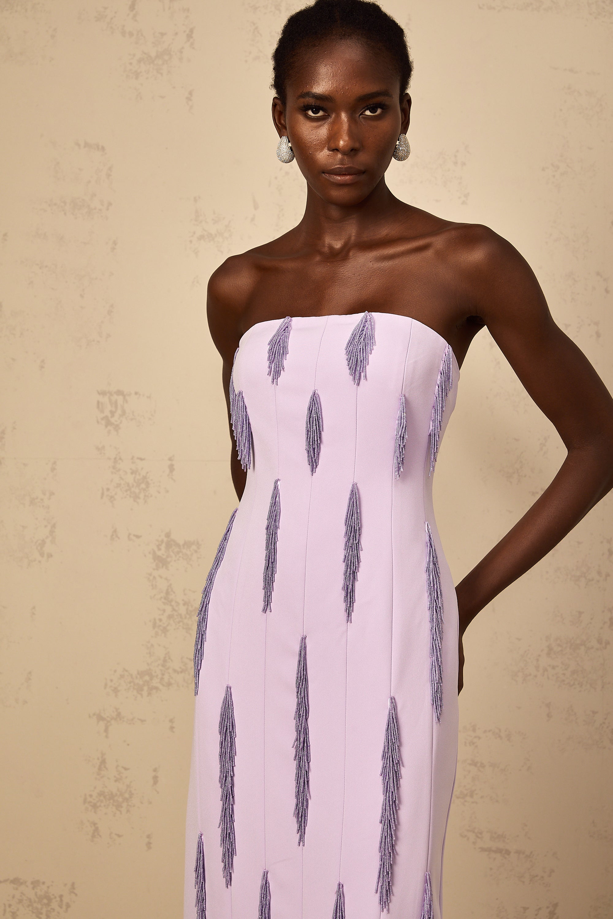 Émilie Purple Beaded Fringed Detail Maxi Dress