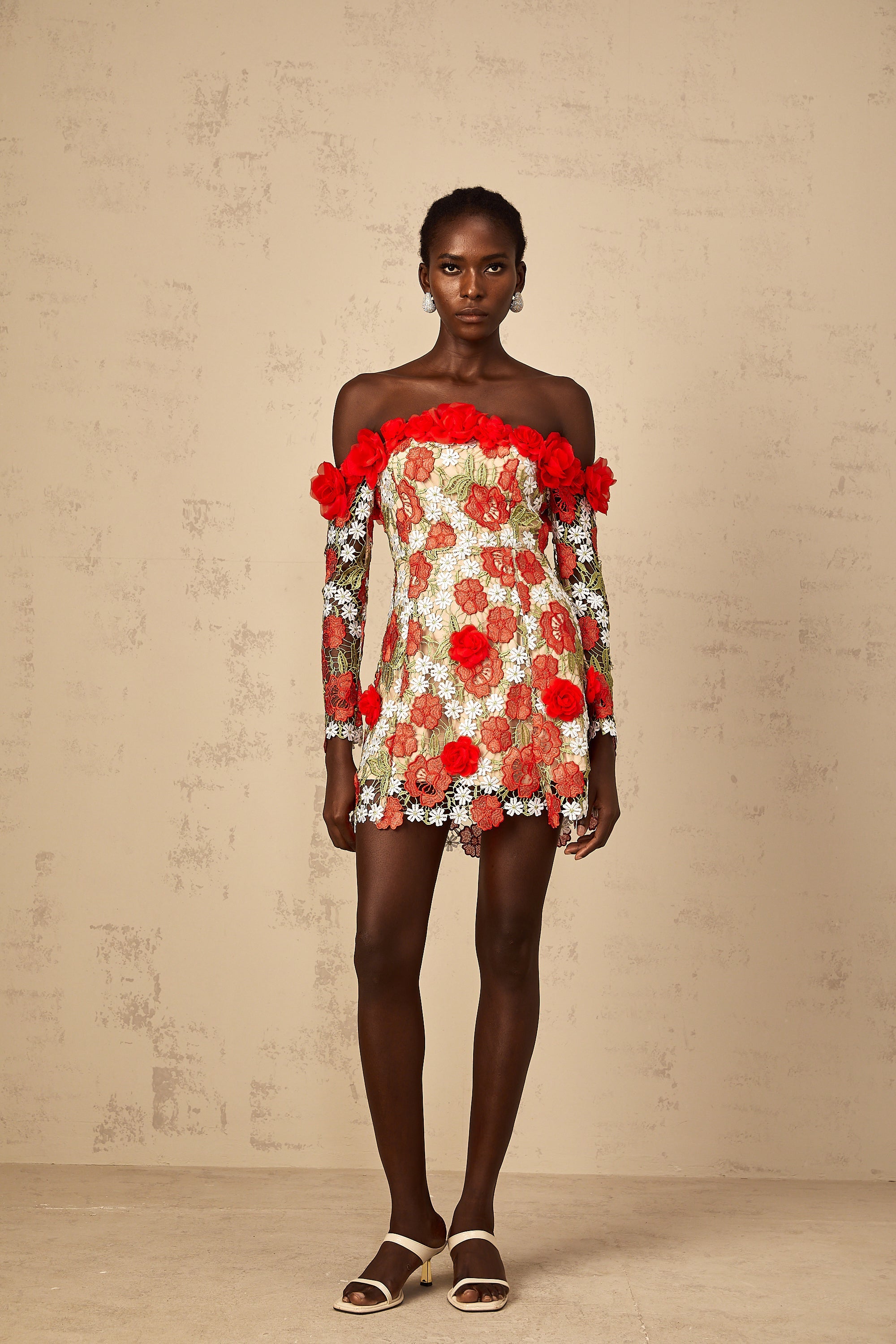 Anaya Red Rose Appliqué Embroidered Mini Dress