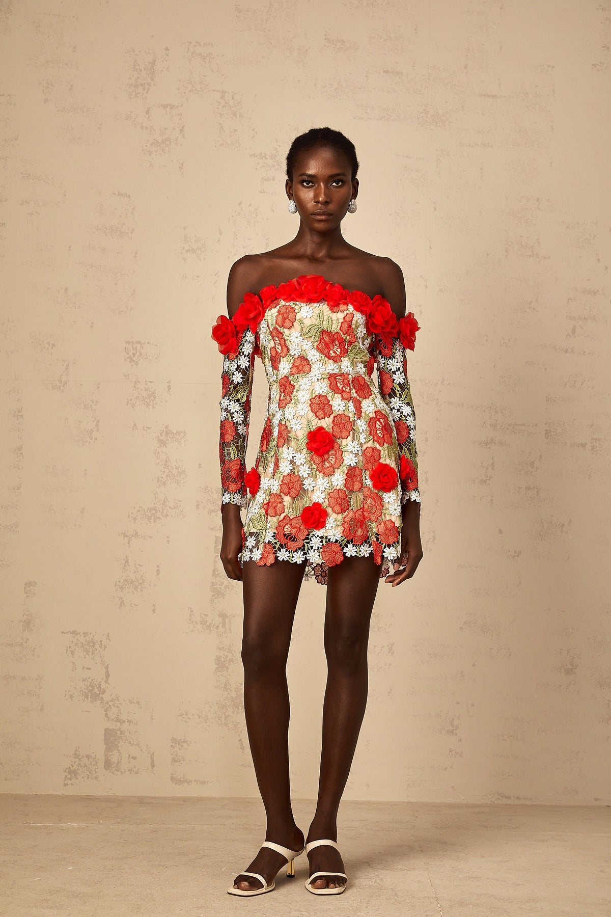 Anaya Red Rose Appliqué Embroidered Mini Dress
