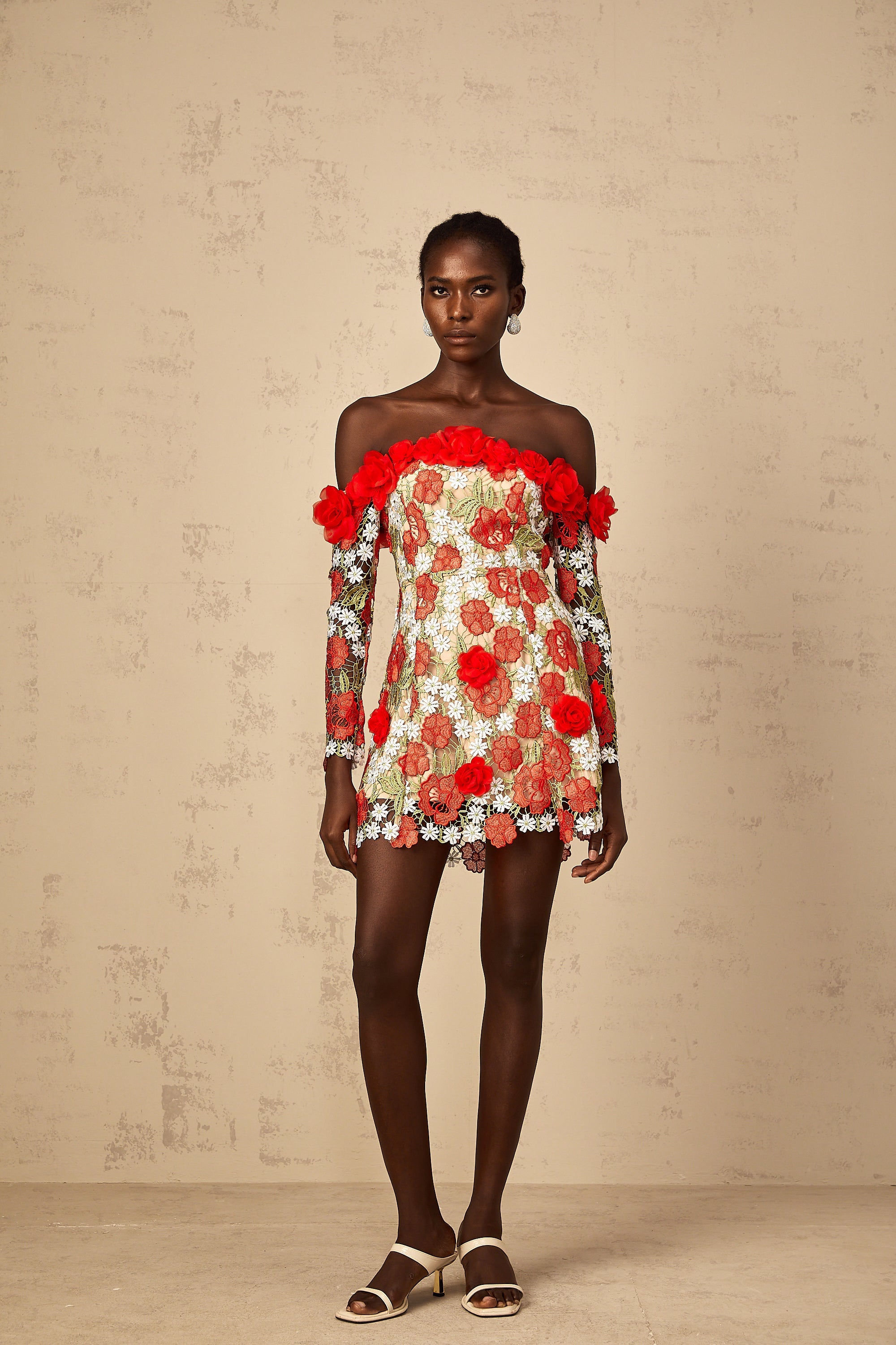 Anaya Red Rose Appliqué Embroidered Mini Dress