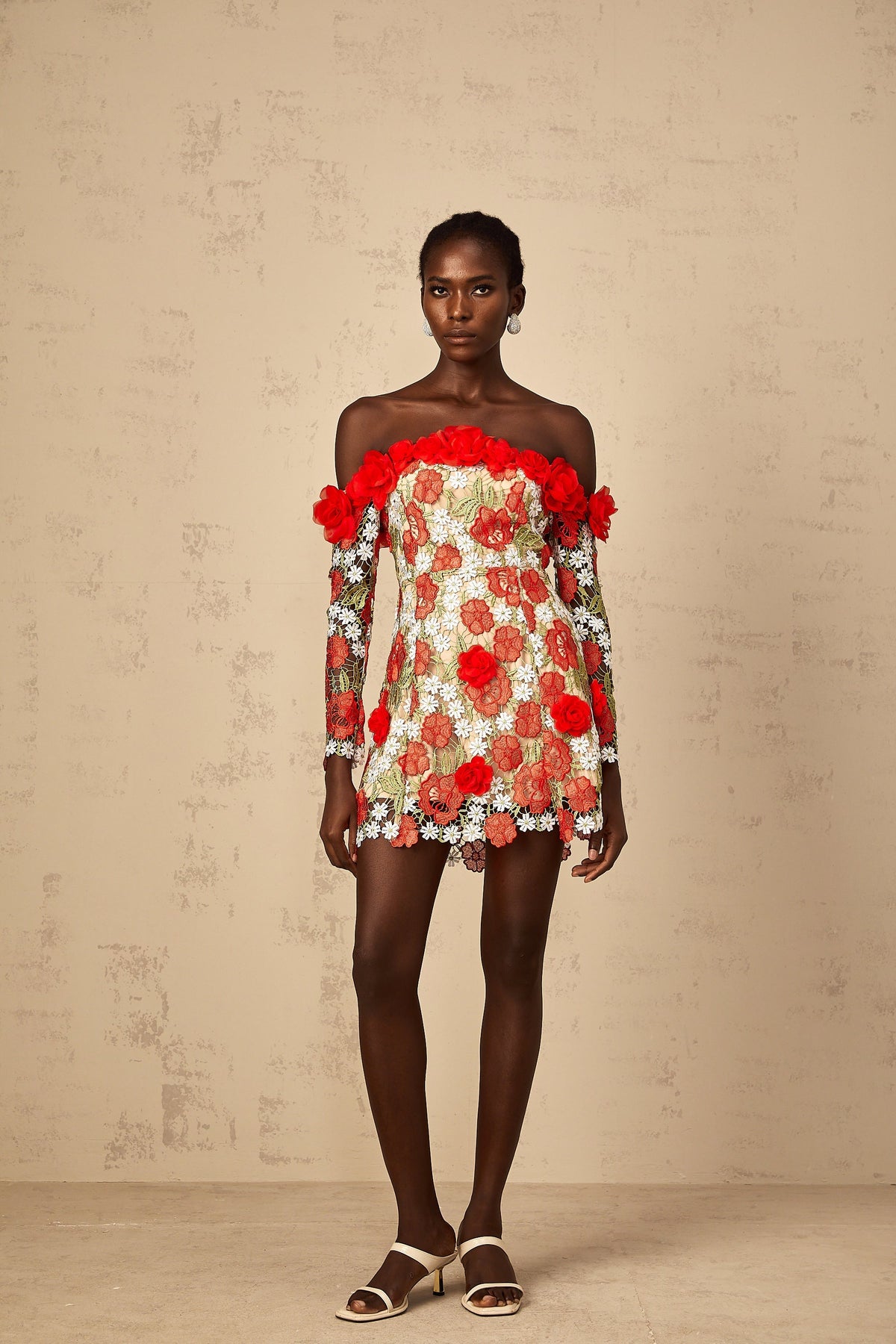 Anaya Red Rose Appliqué Embroidered Mini Dress