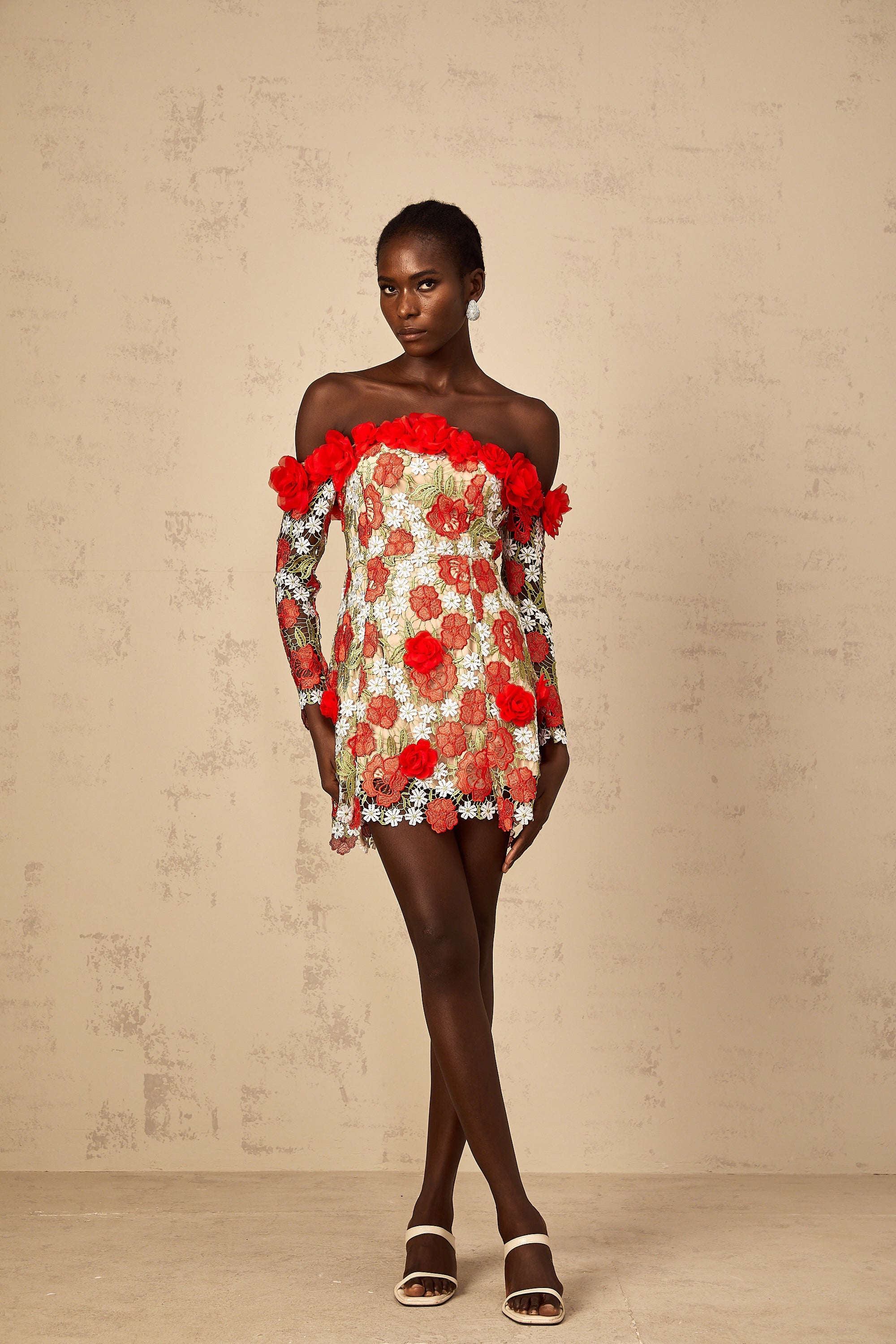 Anaya Red Rose Appliqué Embroidered Mini Dress