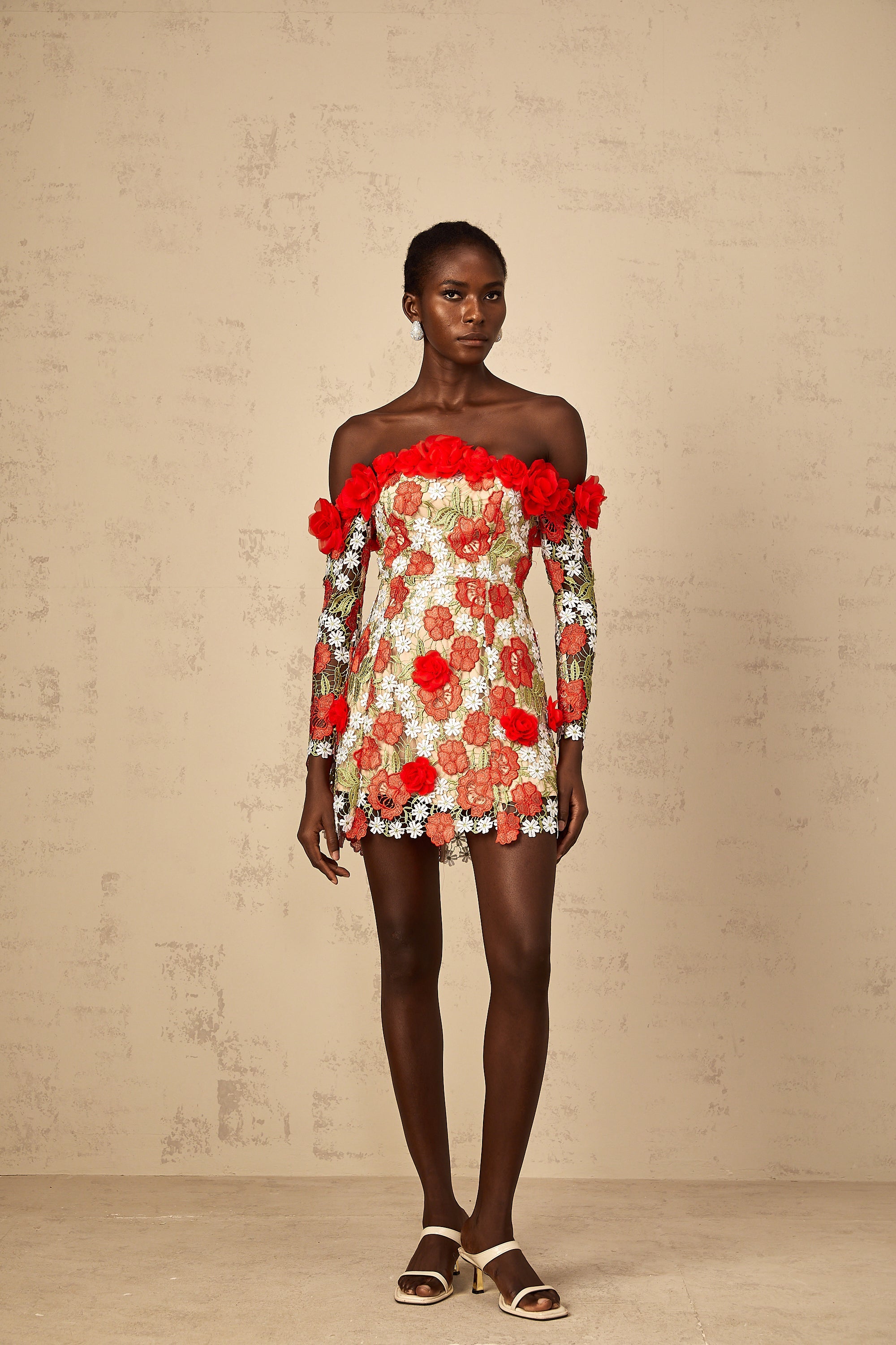 Anaya Red Rose Appliqué Embroidered Mini Dress