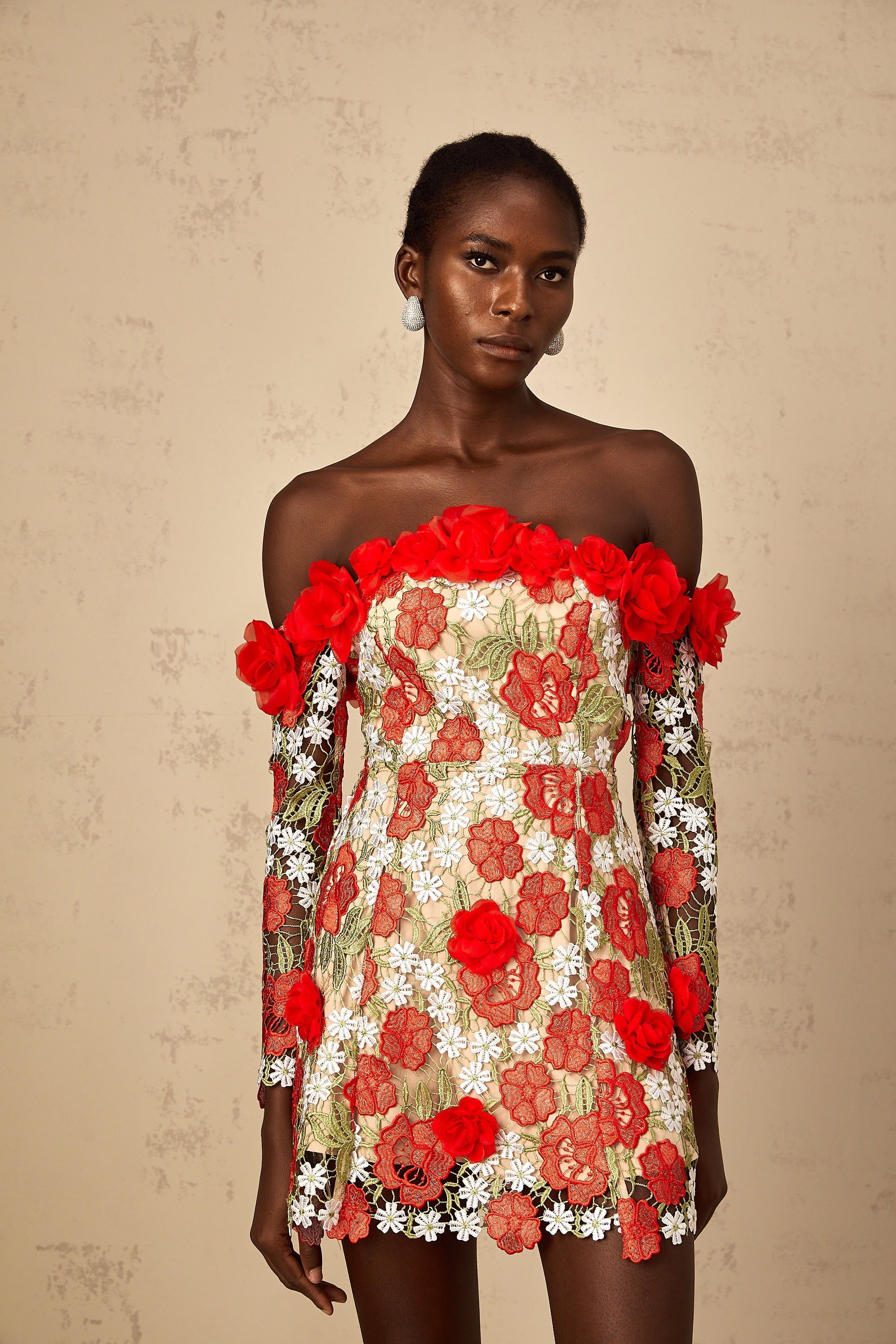 Anaya Red Rose Appliqué Embroidered Mini Dress