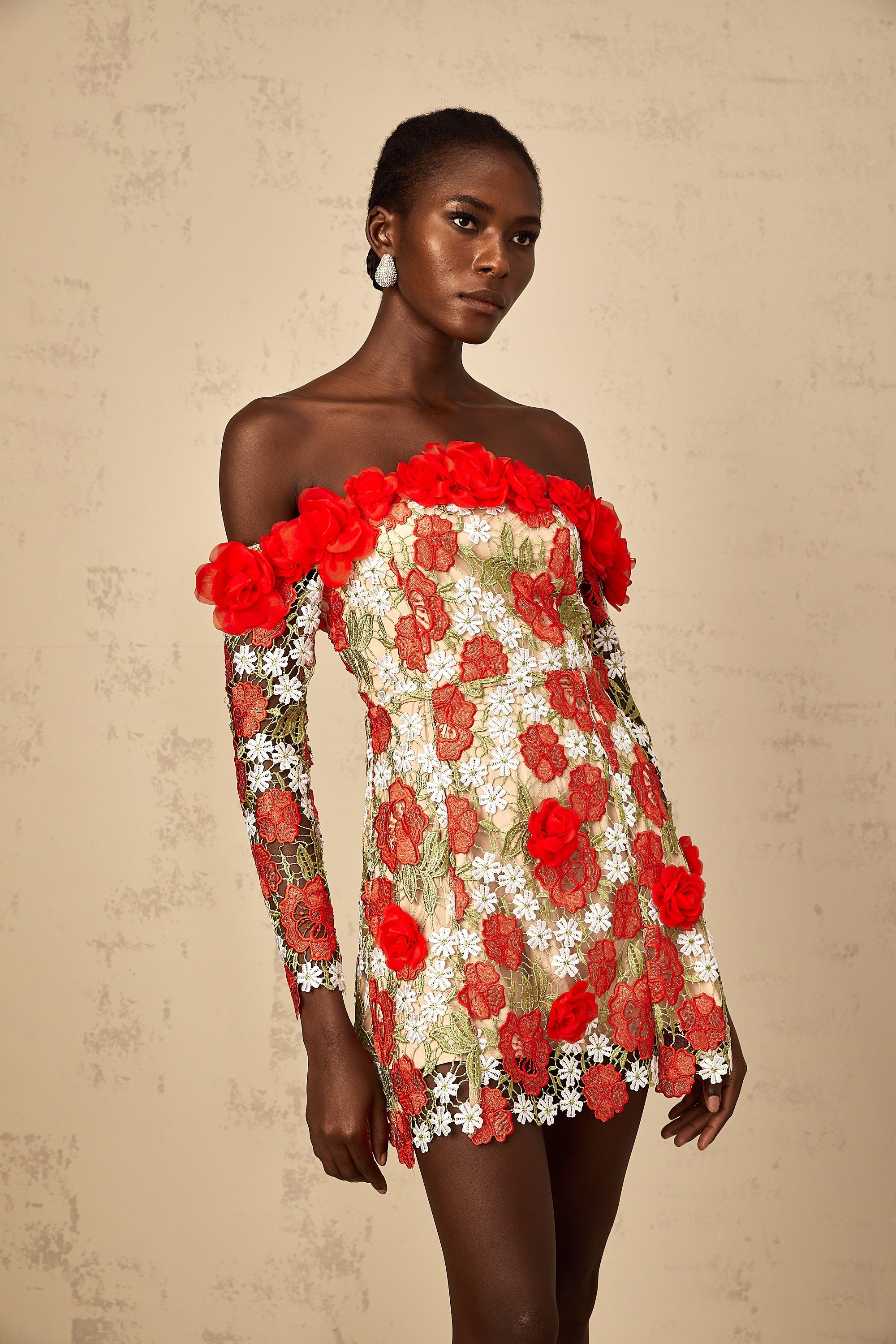 Anaya Red Rose Appliqué Embroidered Mini Dress