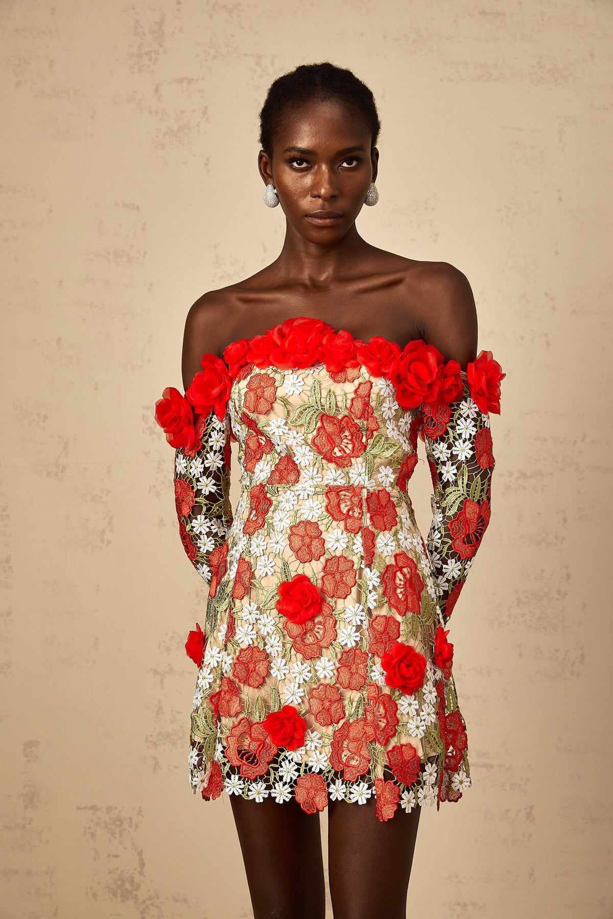 Anaya Red Rose Appliqué Embroidered Mini Dress