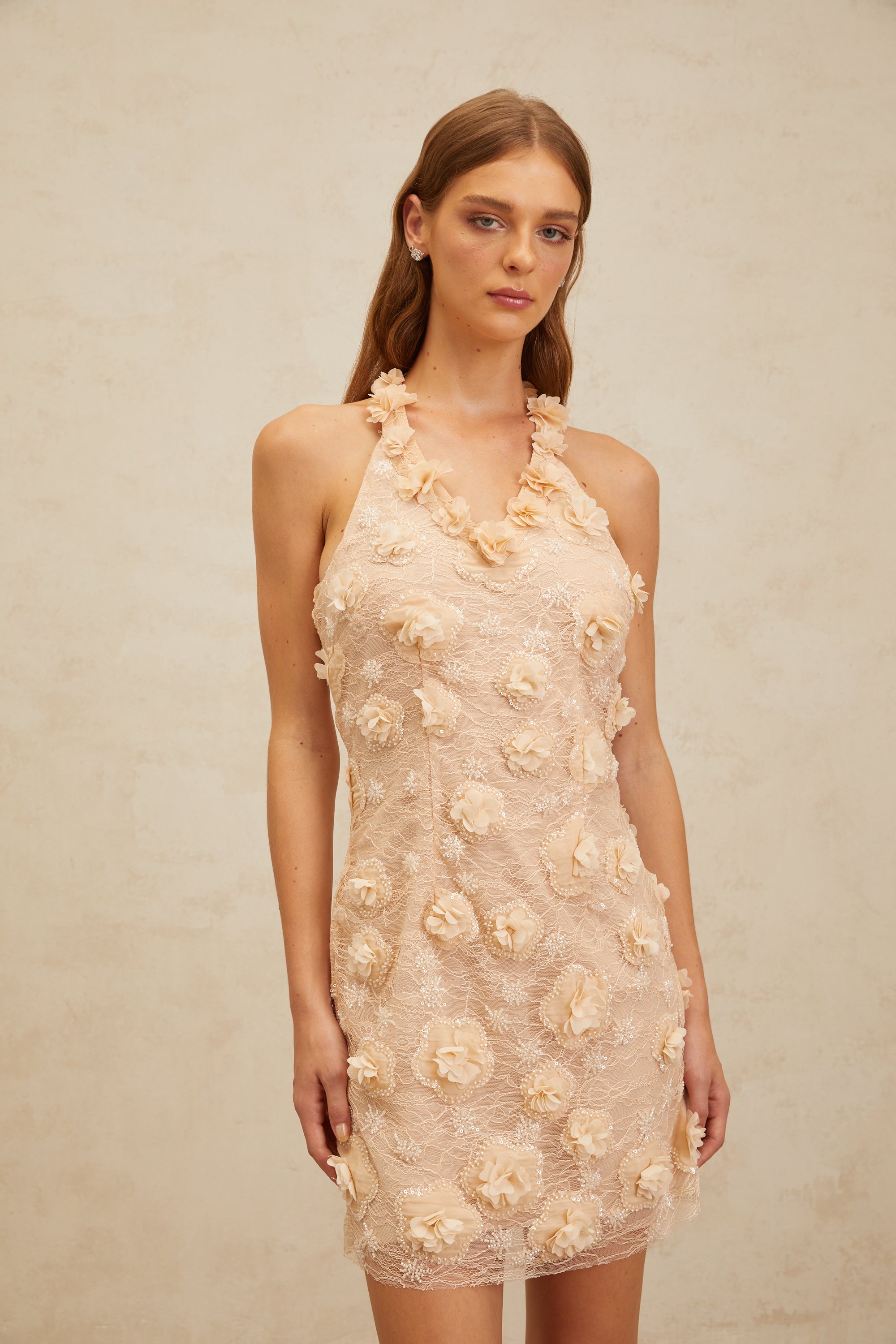 Daphné Neutrals Floral-Appliqué Lace Mini Dress