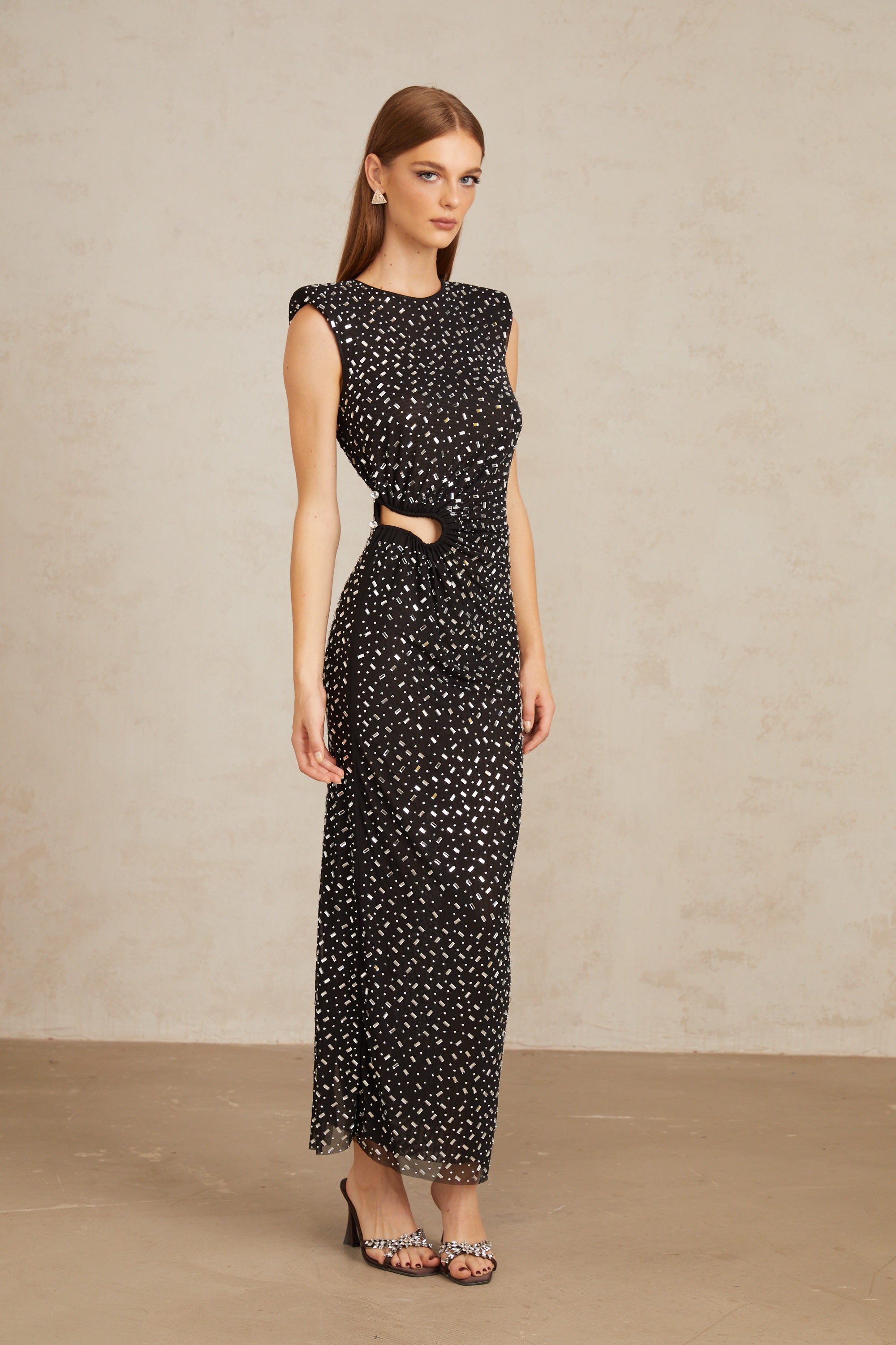 Félicie Black Embellished Mesh Maxi Gown (Final Sale-US Only)