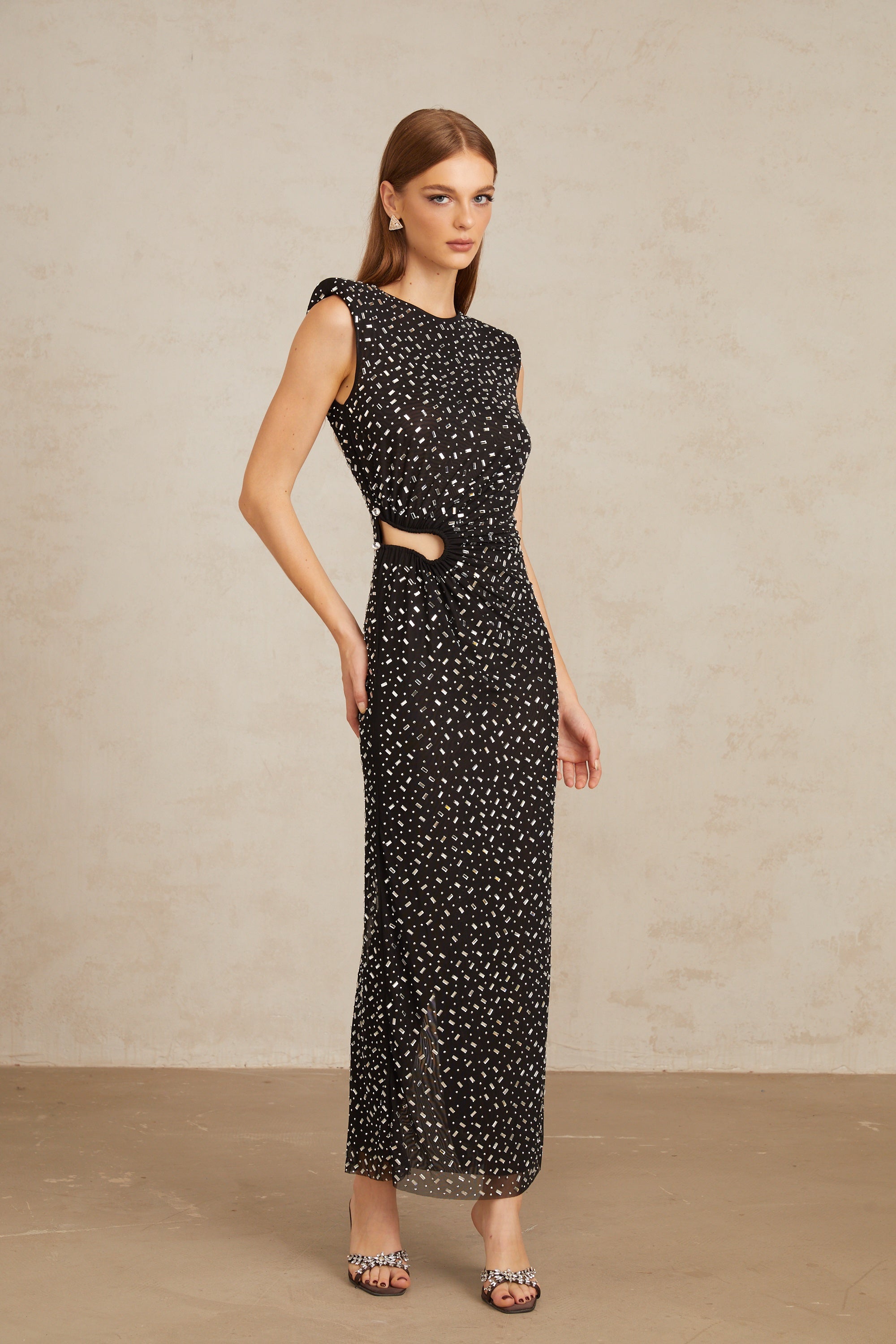 Félicie Black Embellished Mesh Maxi Gown (Final Sale-US Only)