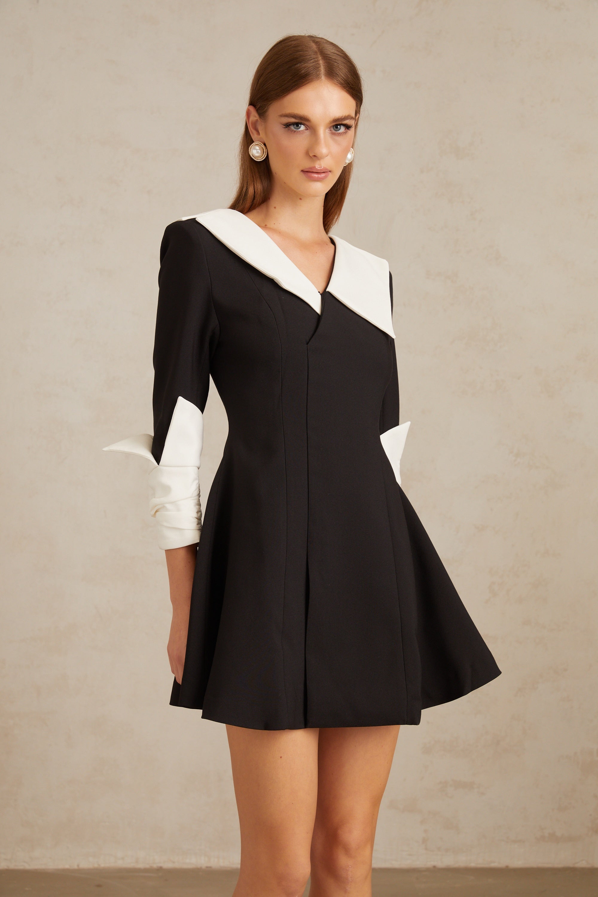 Carine Color Block Flared Mini Dress