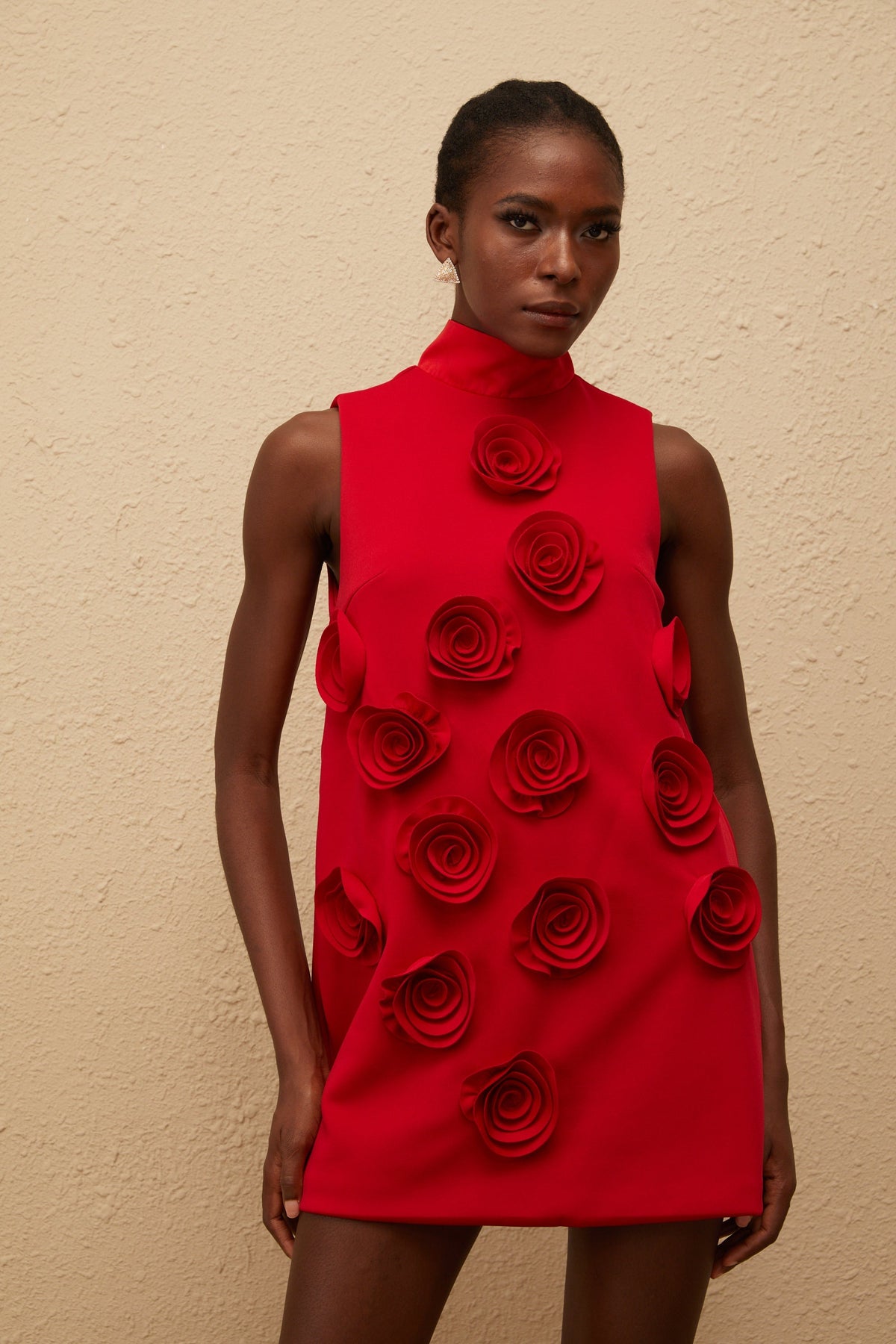Ysandre Red Rose Appliqué Mini Dress