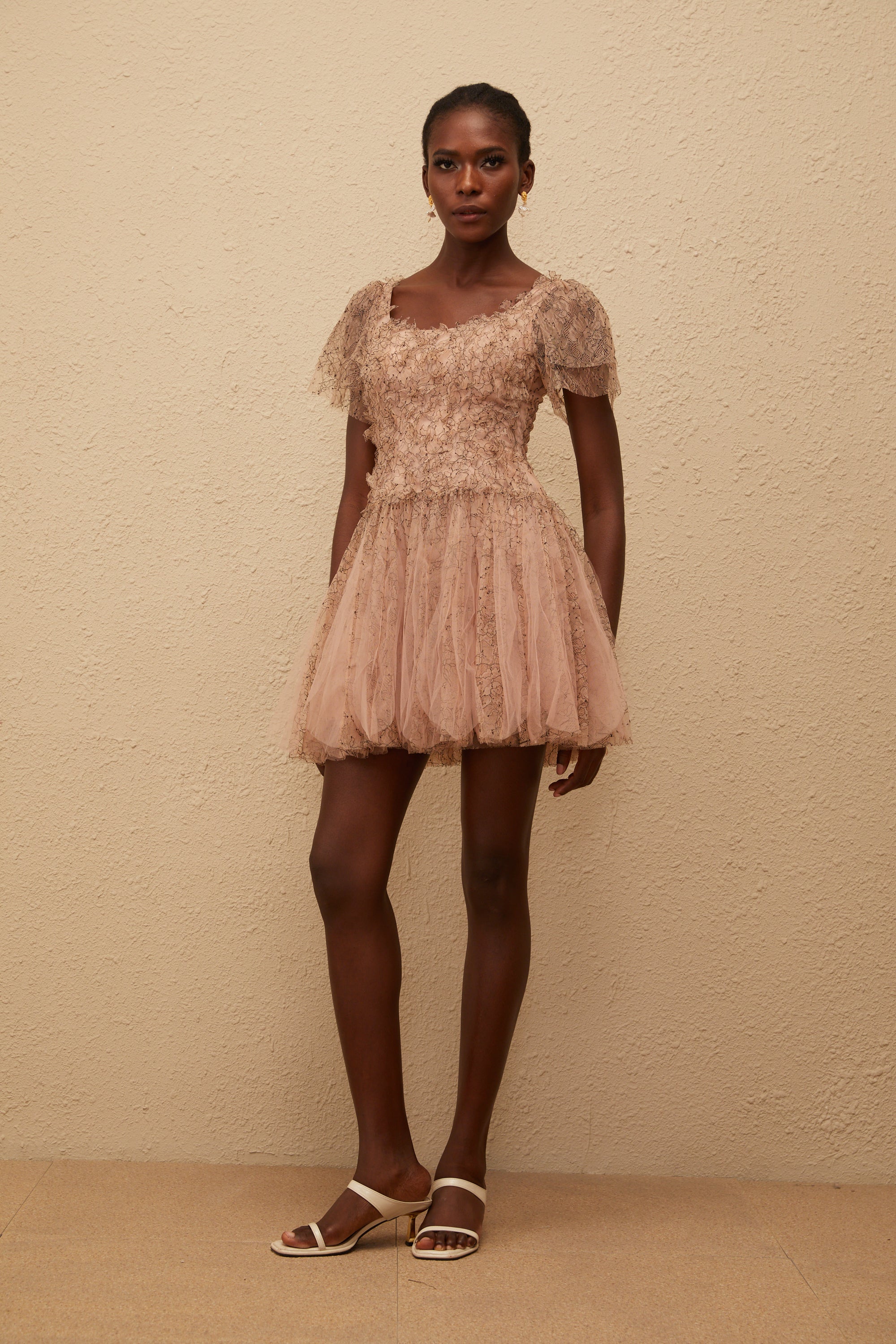 Gaëtane Brown Tulle Panel Lace Mini Dress