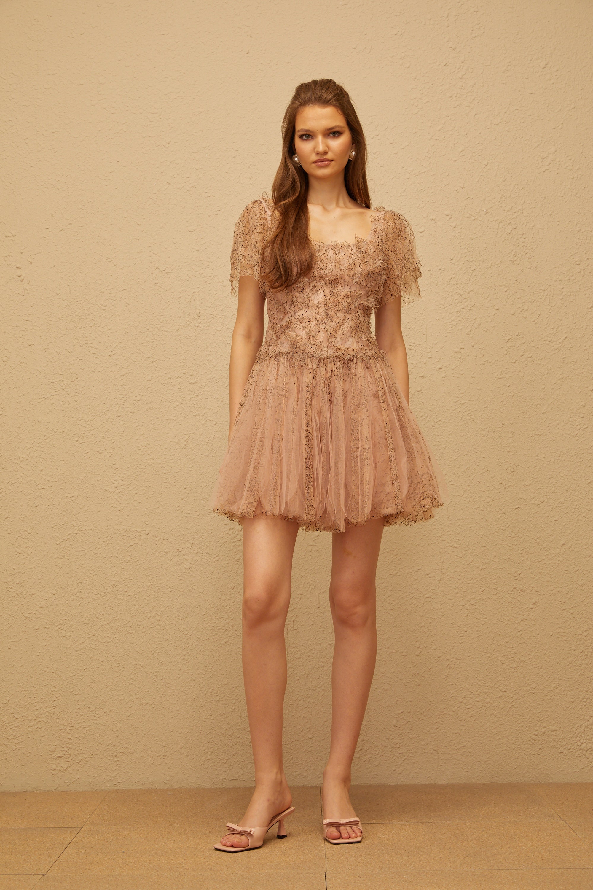 Gaëtane Brown Tulle Panel Lace Mini Dress