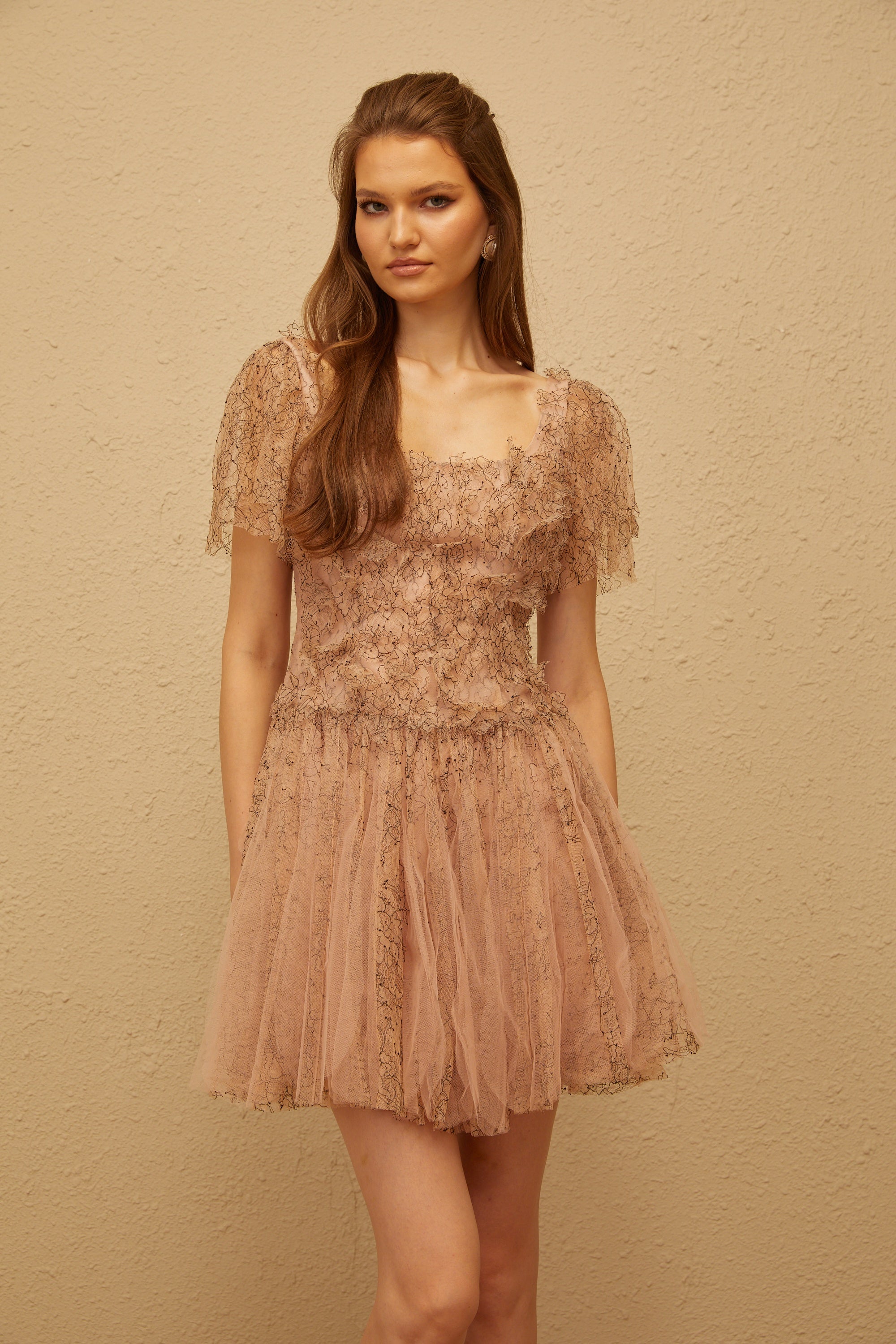 Gaëtane Brown Tulle Panel Lace Mini Dress