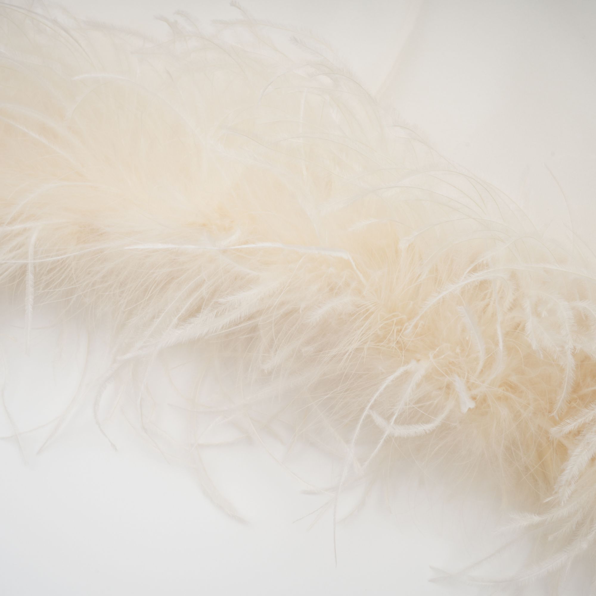 Adrienne White Feather Trim Mini Dress