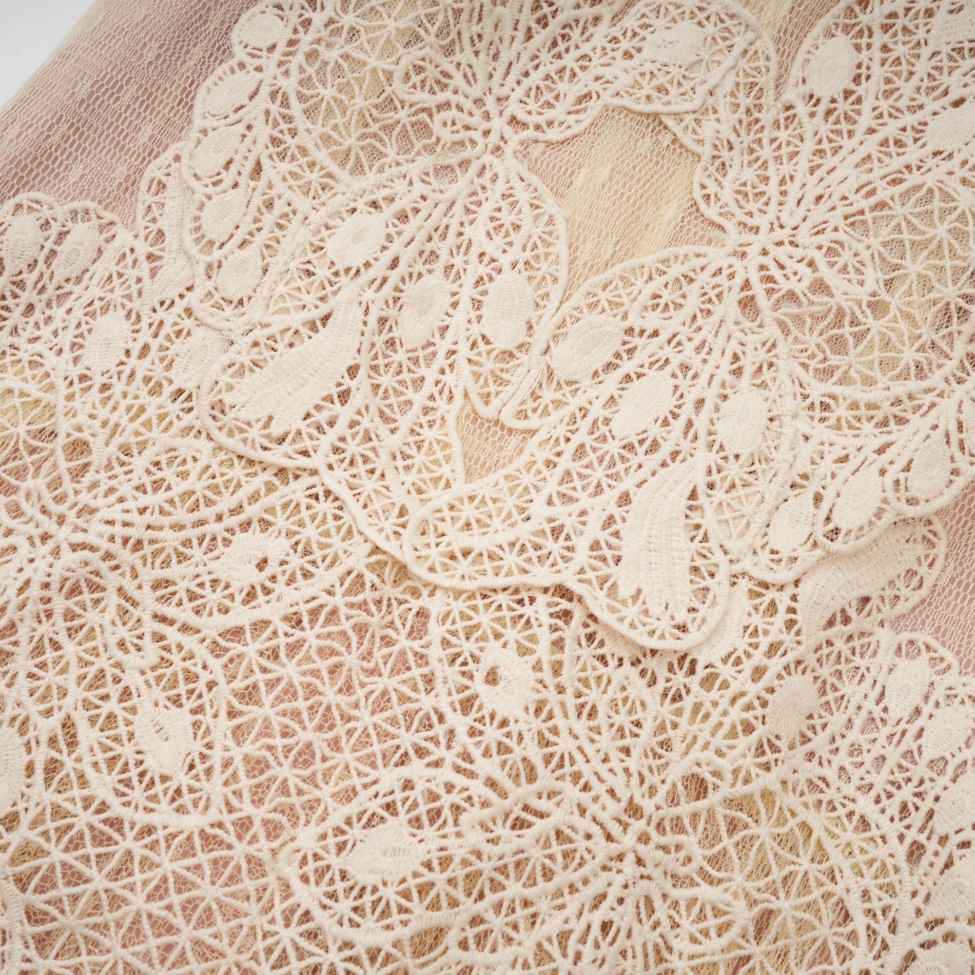 Céleste floral-lace-panelling tulle midi dress in Neutrals