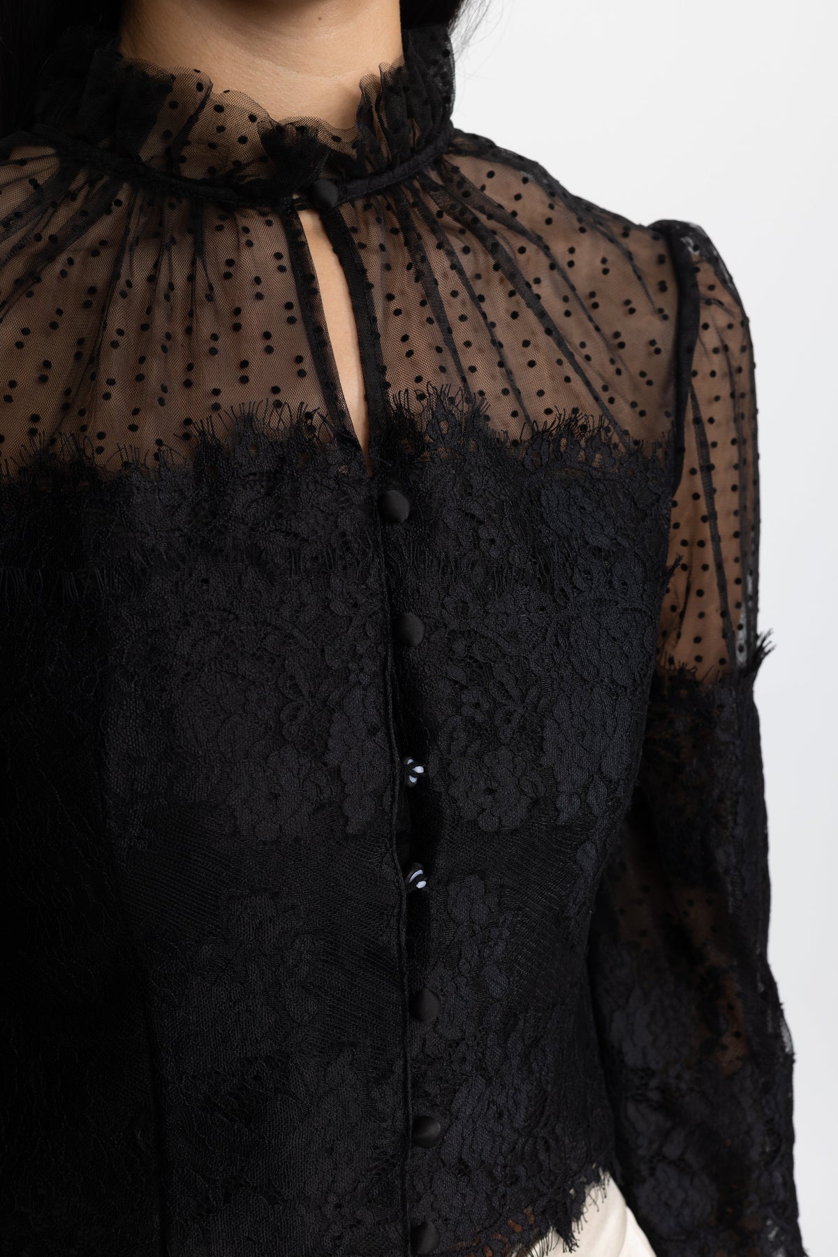 Lydie Black Ruffle Neck Lace and Dot Mesh Cropped Blouse