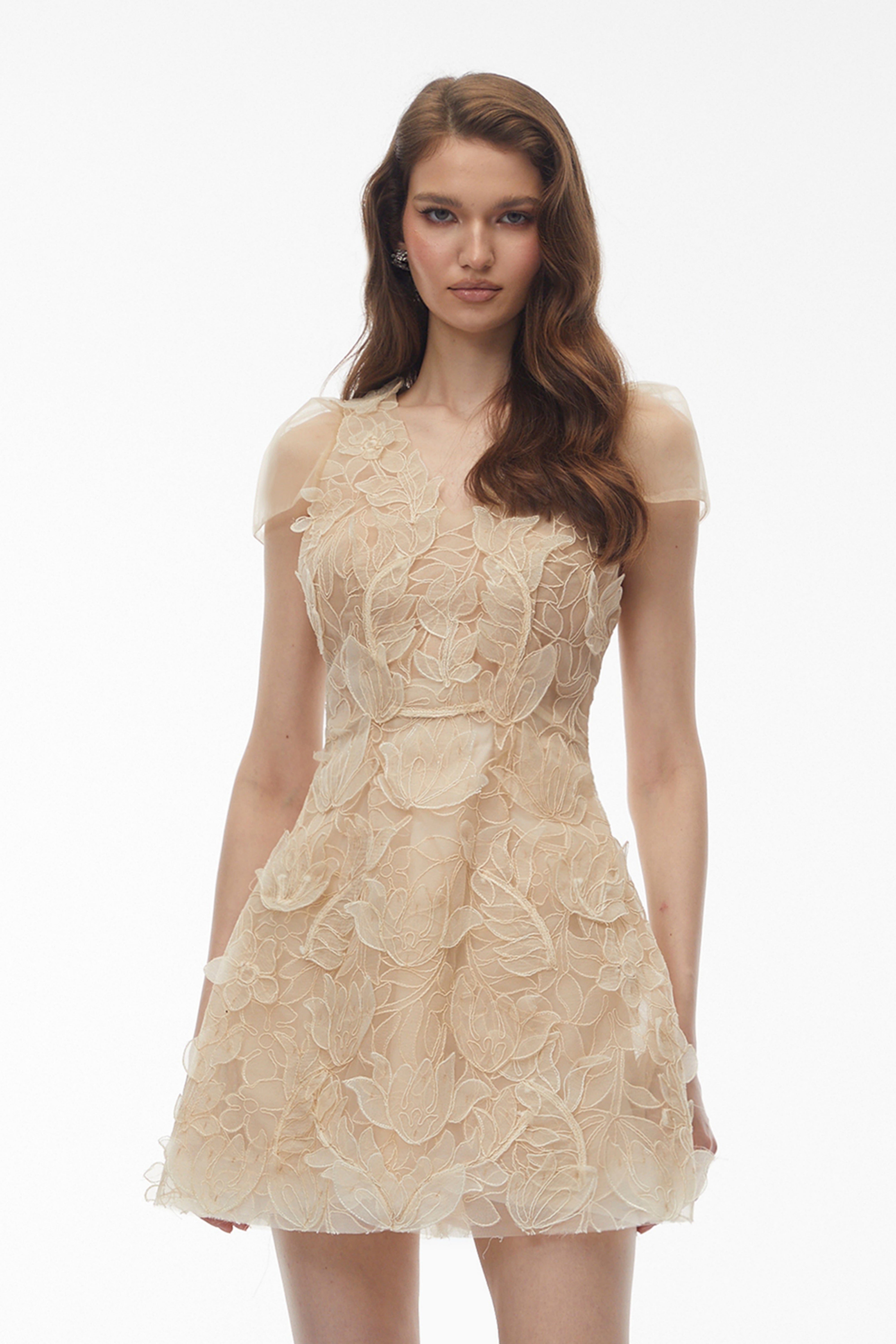 Kore Champagne 3D-Floral Embroidered Tulle Mini Dress