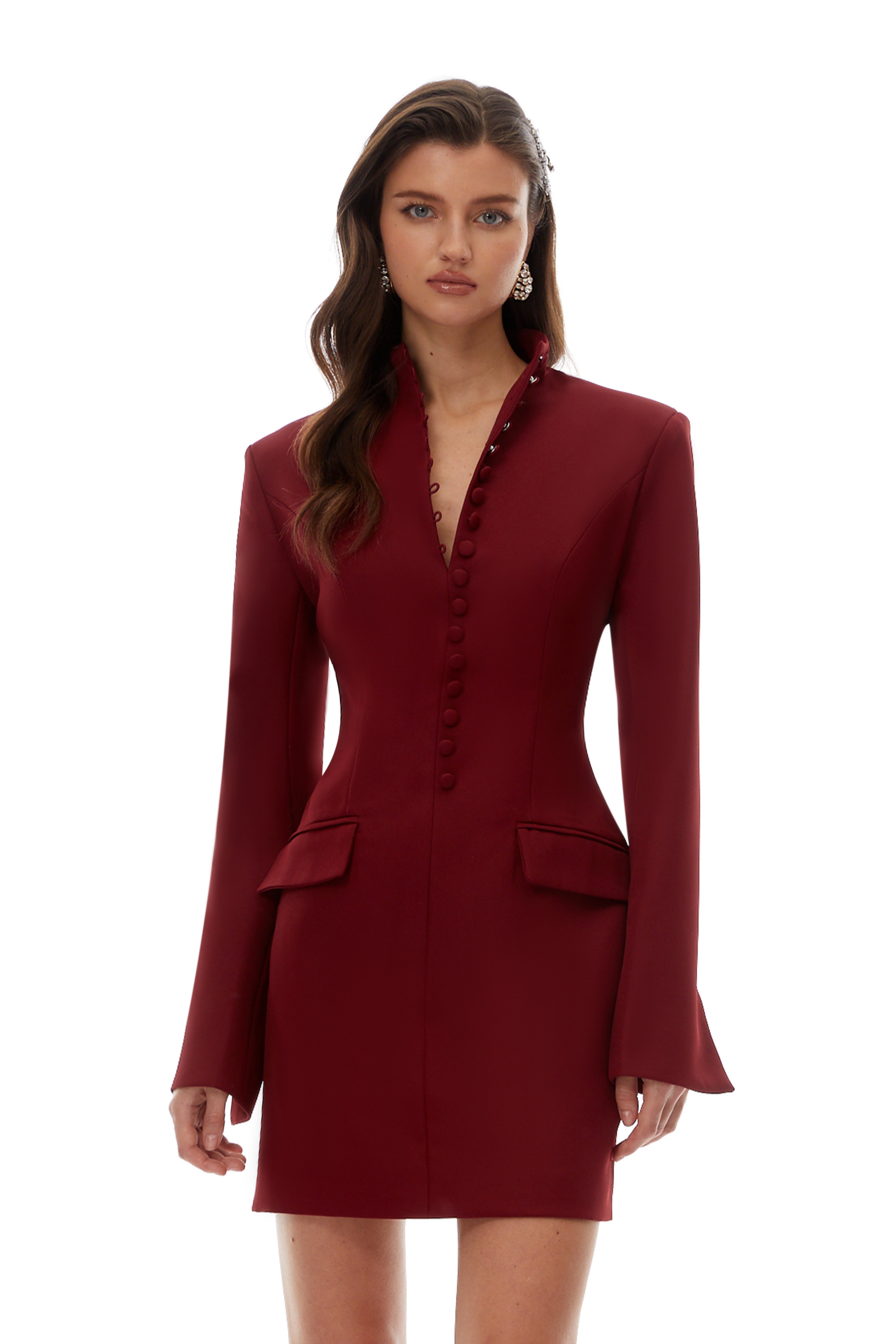Valeria Burgundy Stand Collar Long Sleeve Mini Dress (Final Sale)