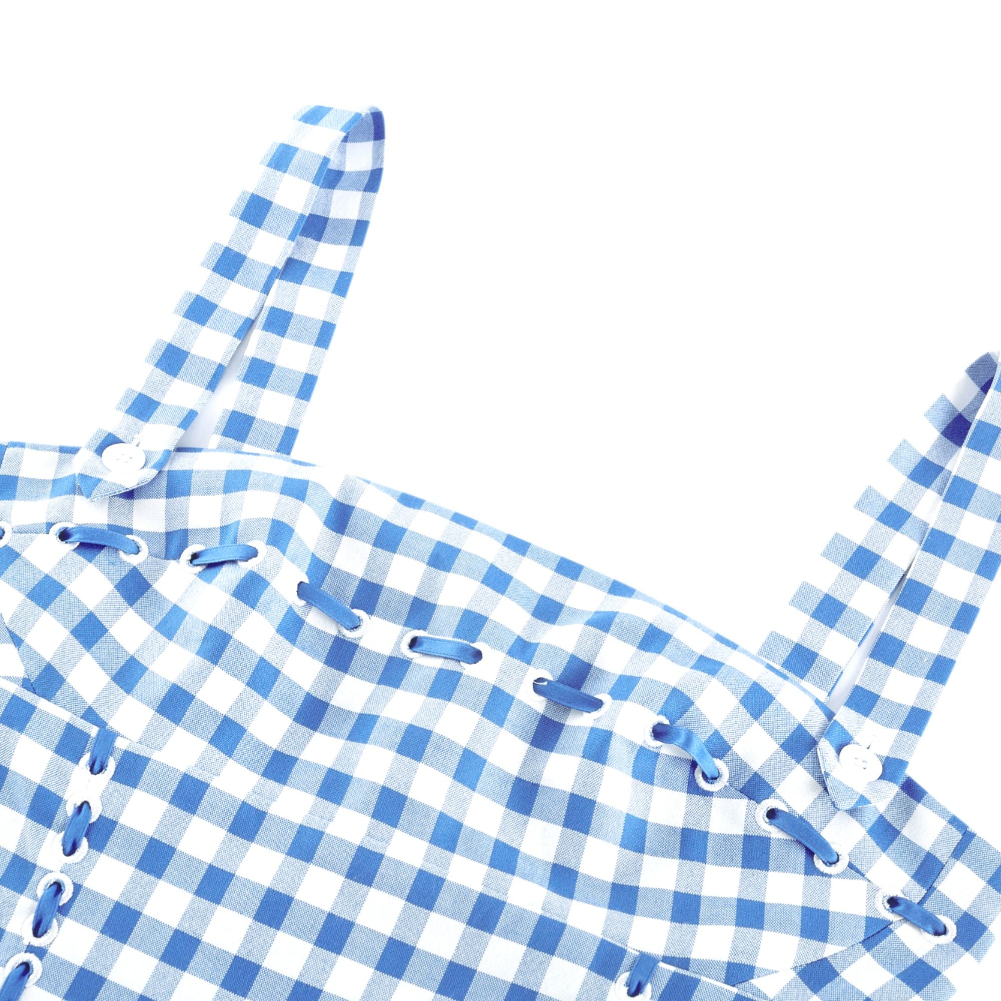 Diane blue gingham midi dress