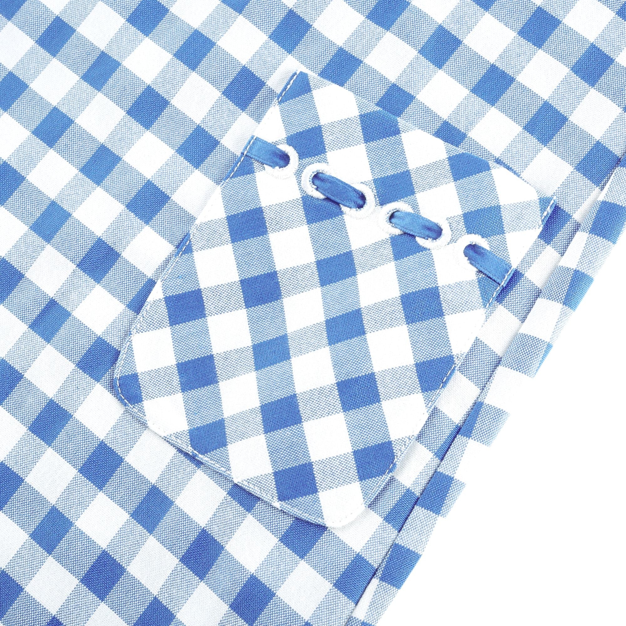 Diane blue gingham midi dress