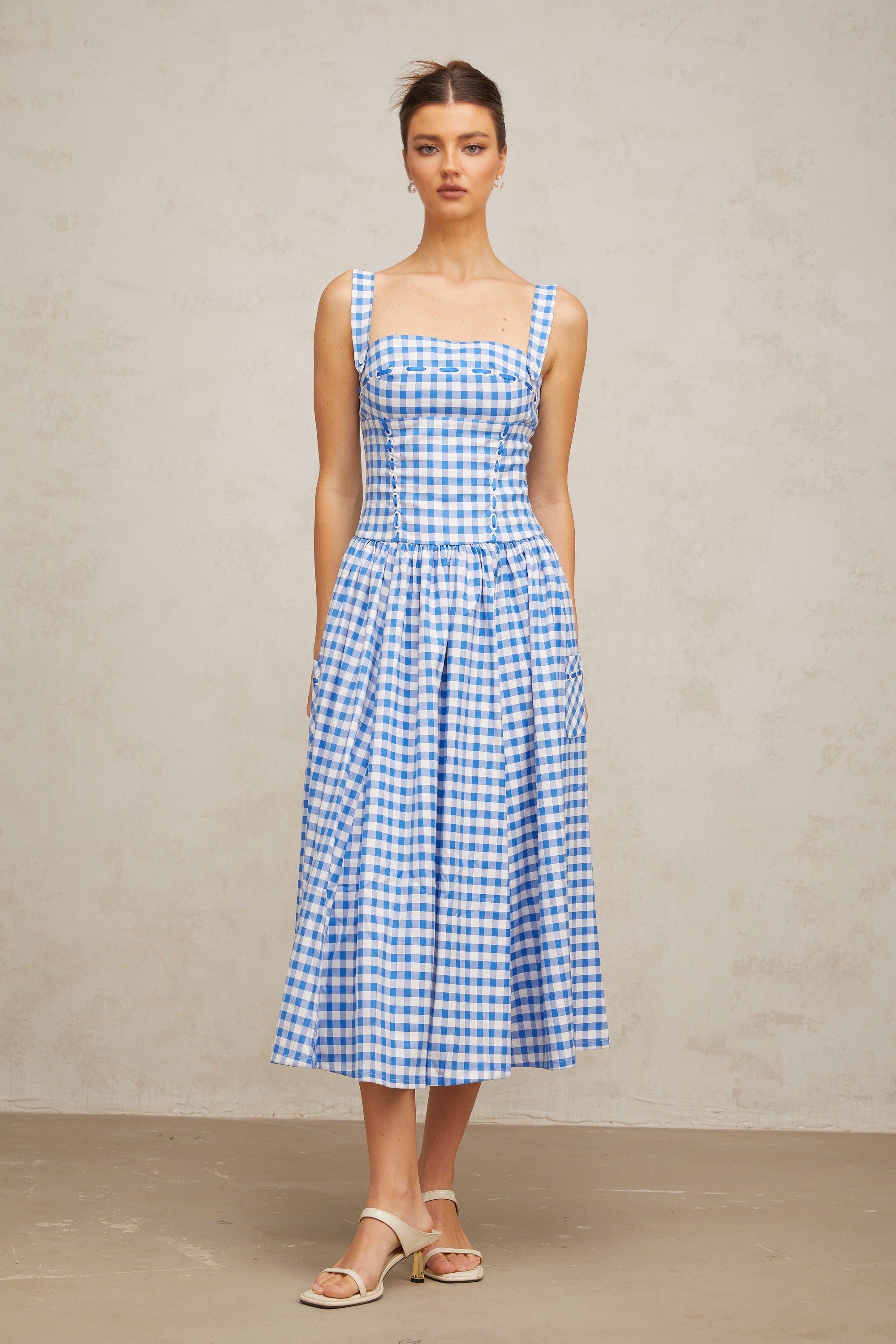 Diane blue gingham midi dress