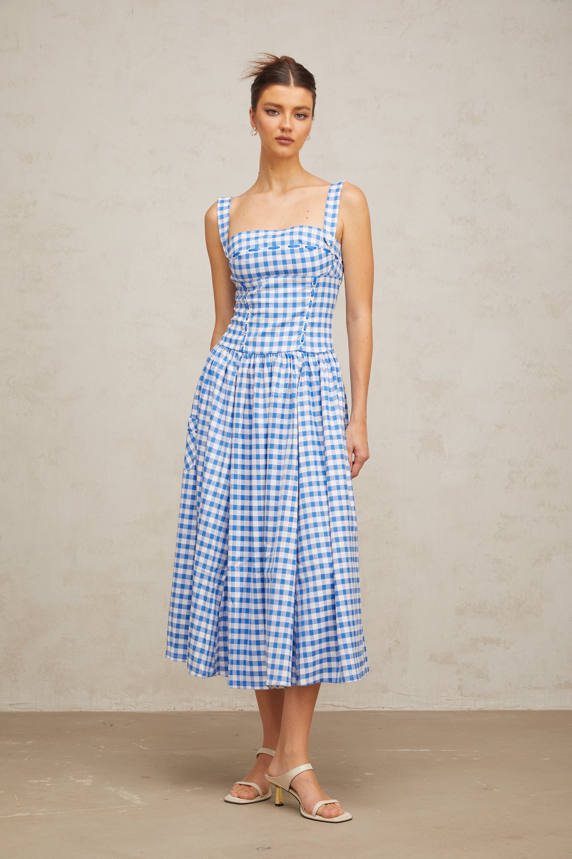 Diane blue gingham midi dress