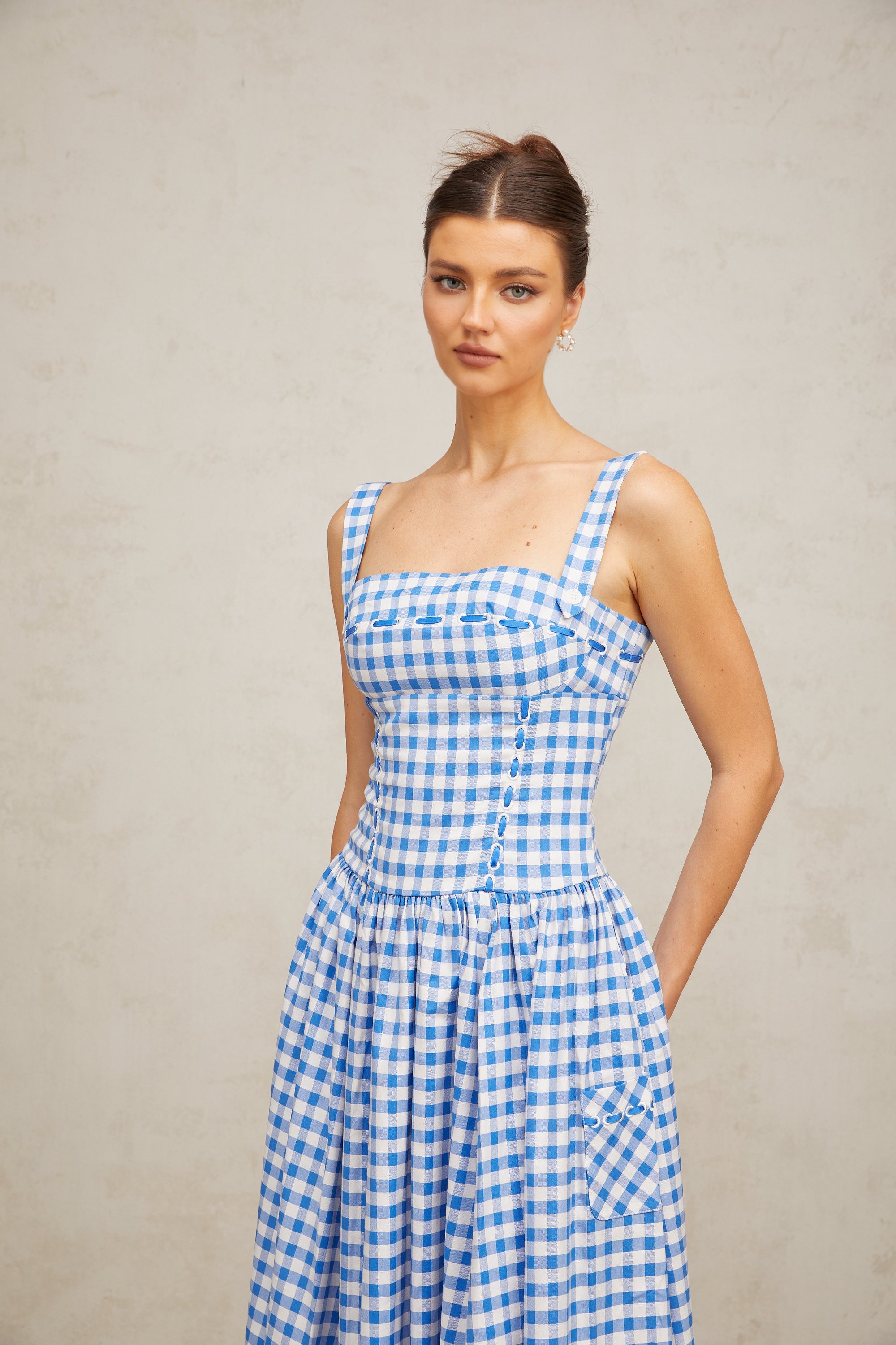 Diane blue gingham midi dress
