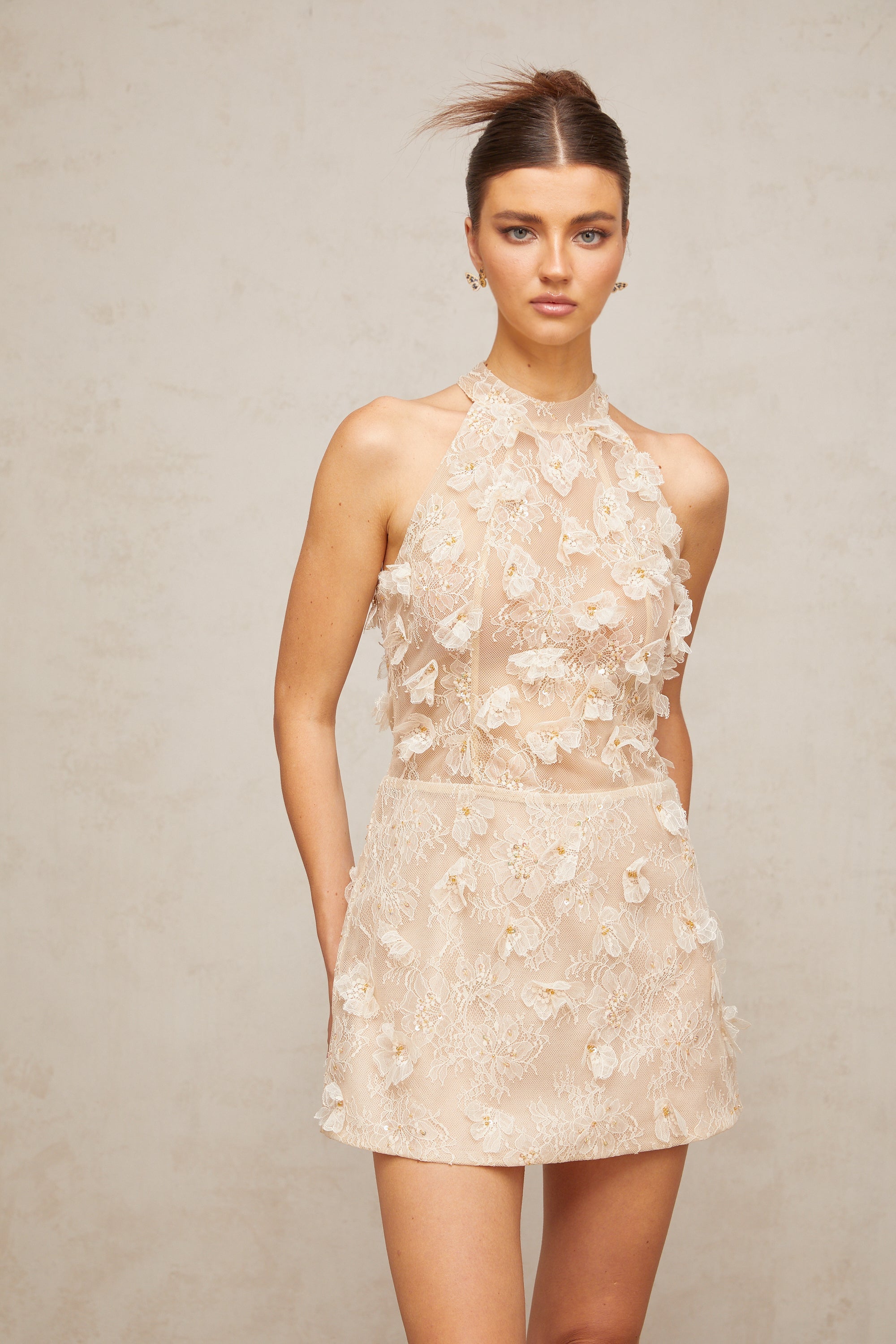 Léa neutrals flower-appliqué lace mini dress