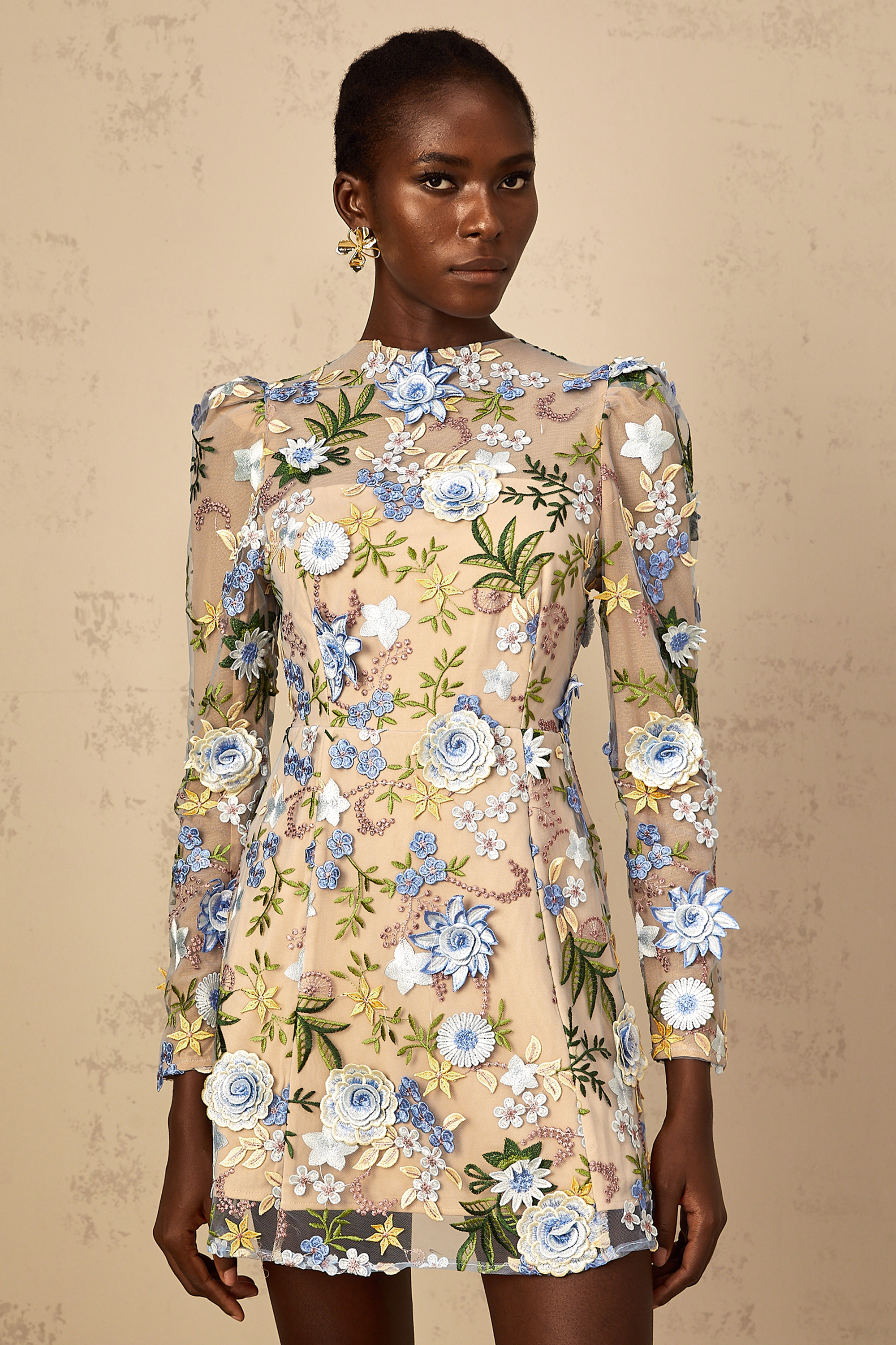 Jolien Blue Floral Appliqué Embroidered Tulle Mini Dress