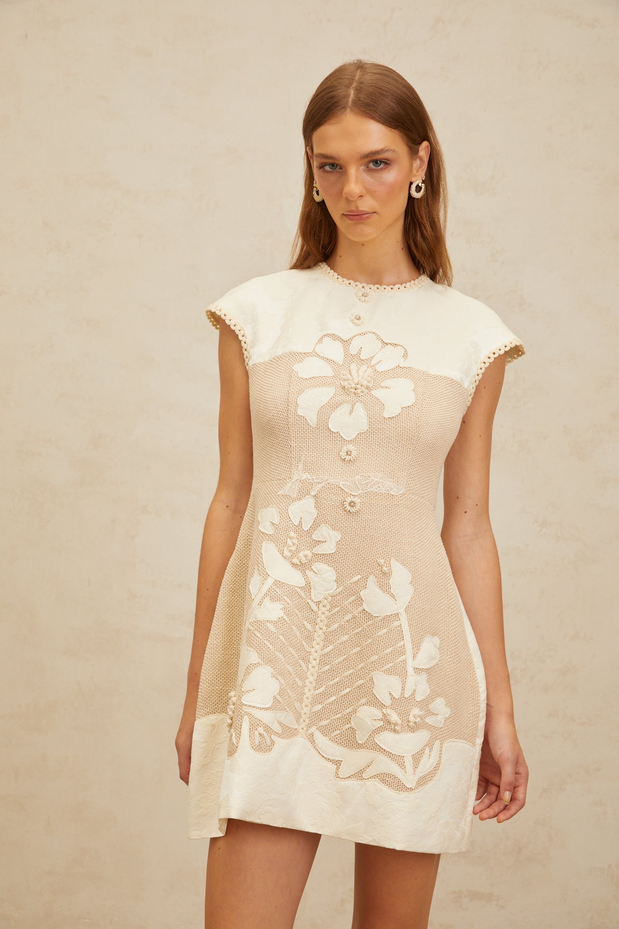 Manon Neutral Floral Embroidered Crochet Mini Dress