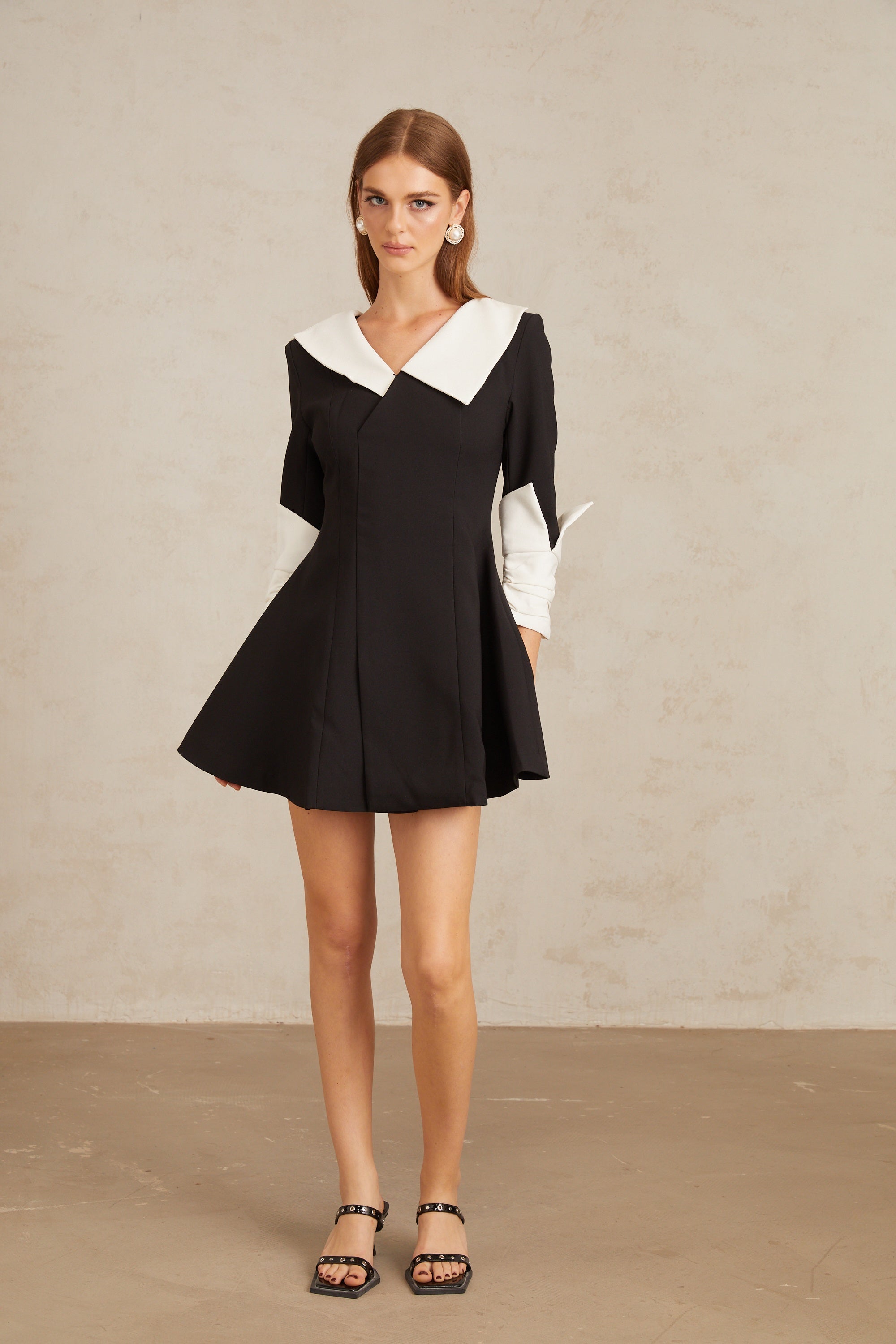 Carine Color Block Flared Mini Dress