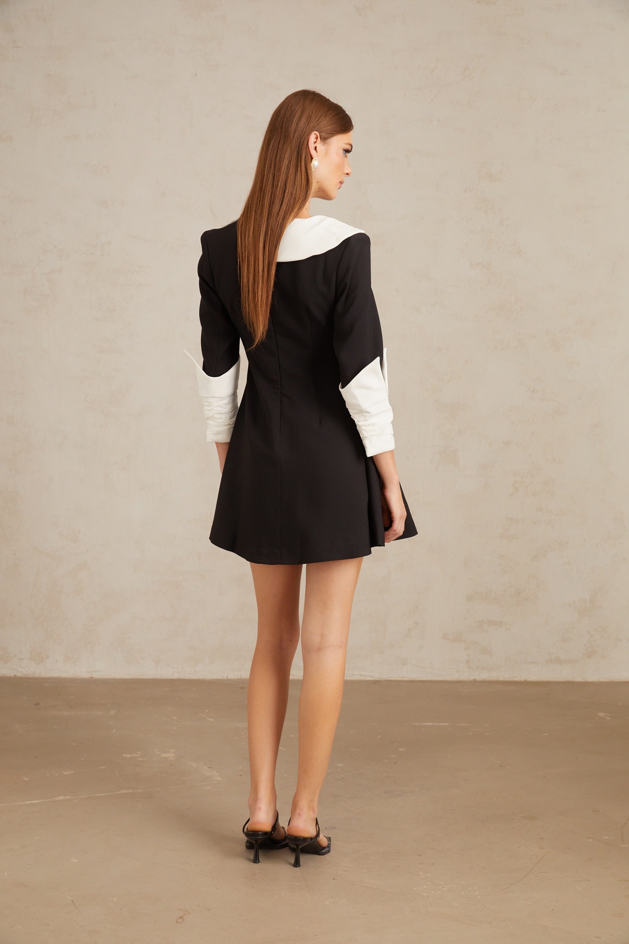 Carine Color Block Flared Mini Dress