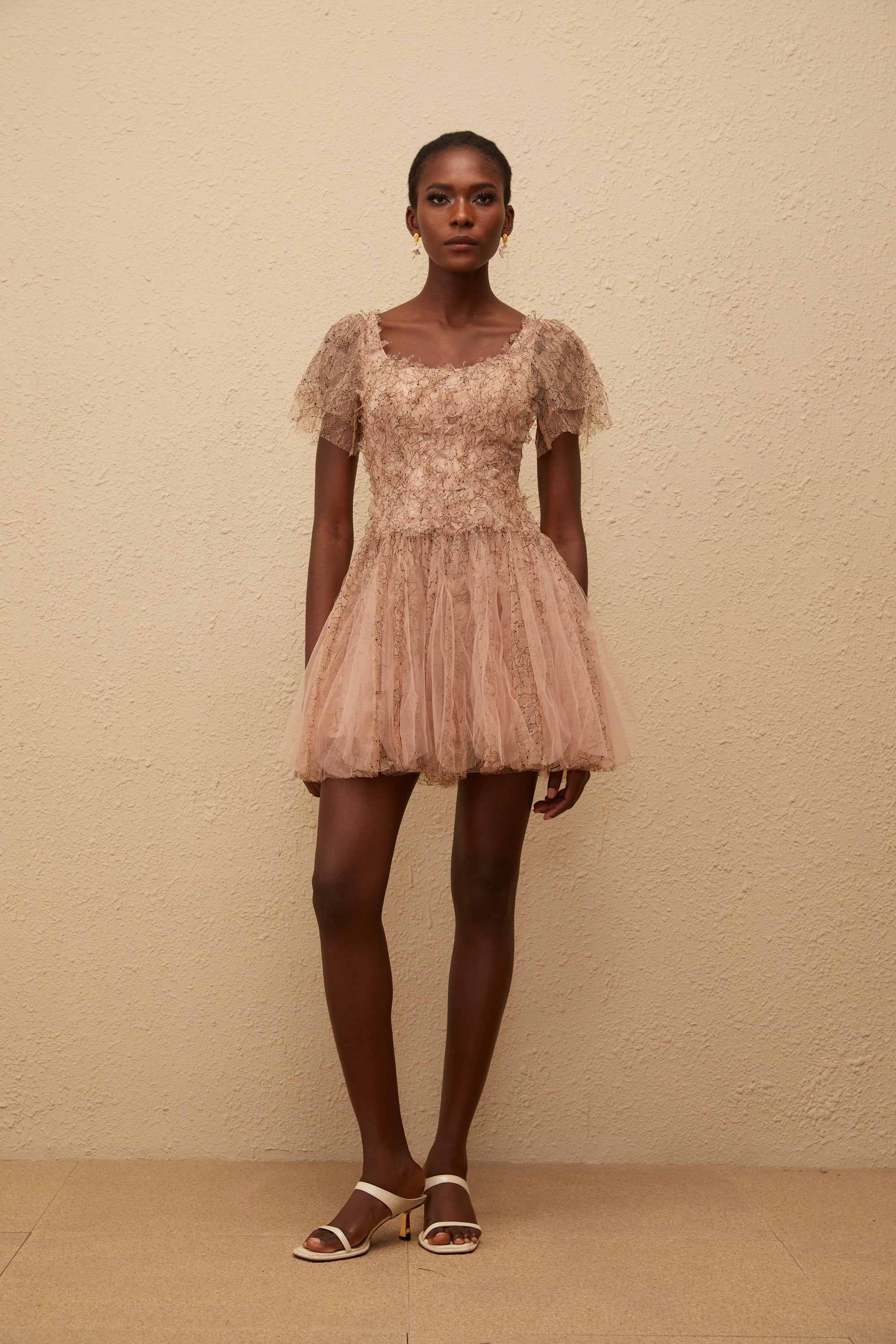 Gaëtane Brown Tulle Panel Lace Mini Dress