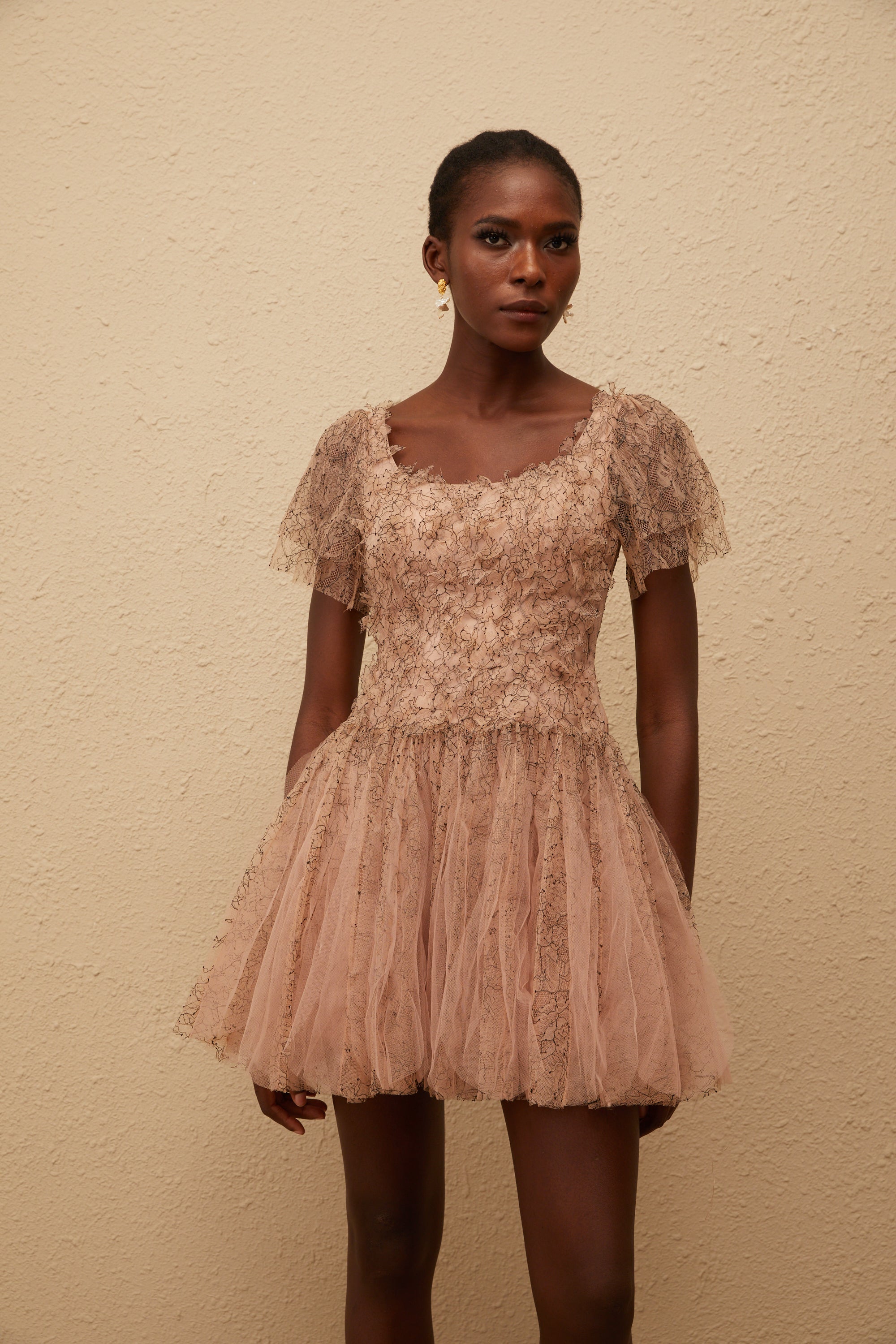 Gaëtane Brown Tulle Panel Lace Mini Dress