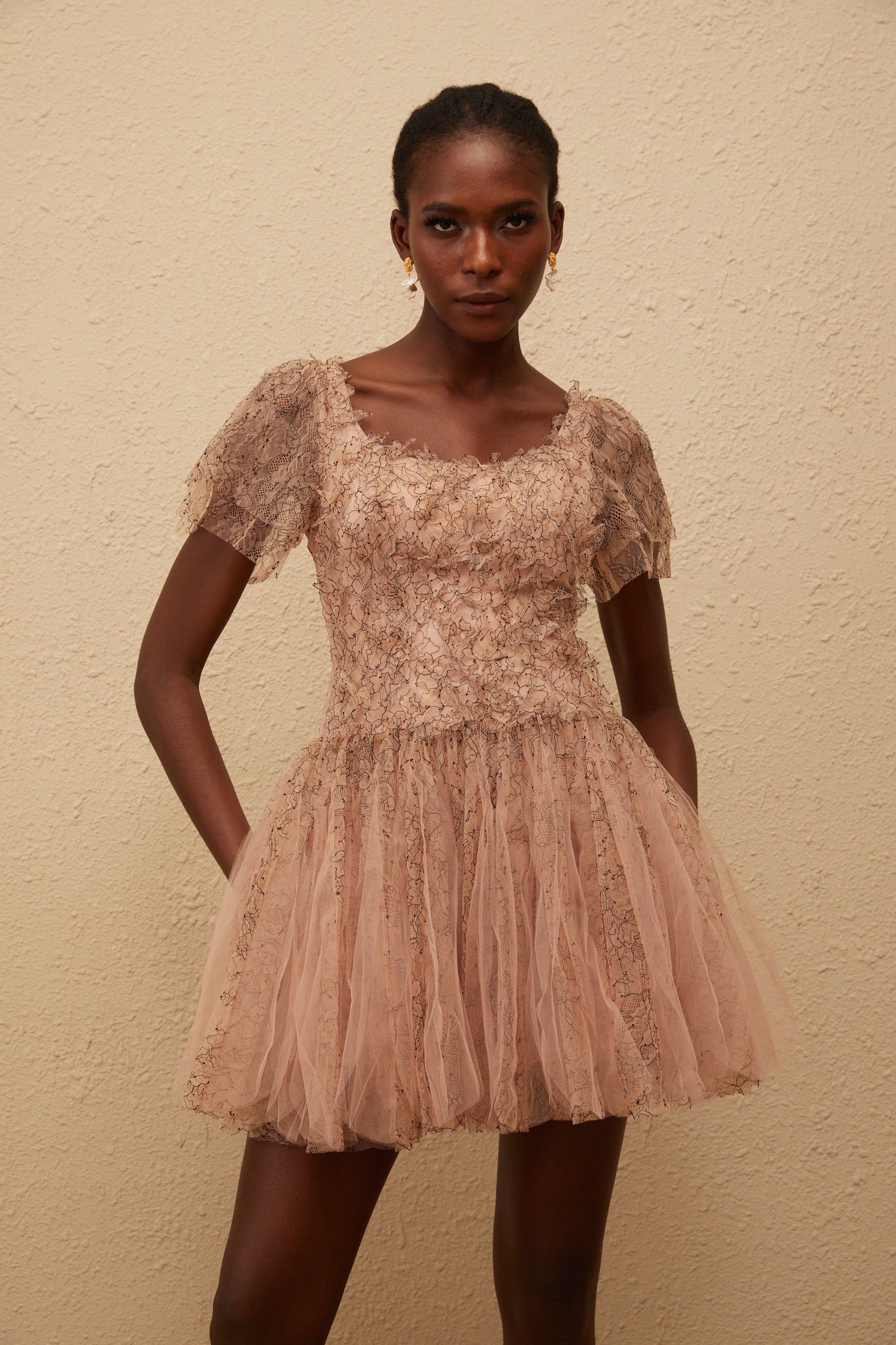 Gaëtane Brown Tulle Panel Lace Mini Dress
