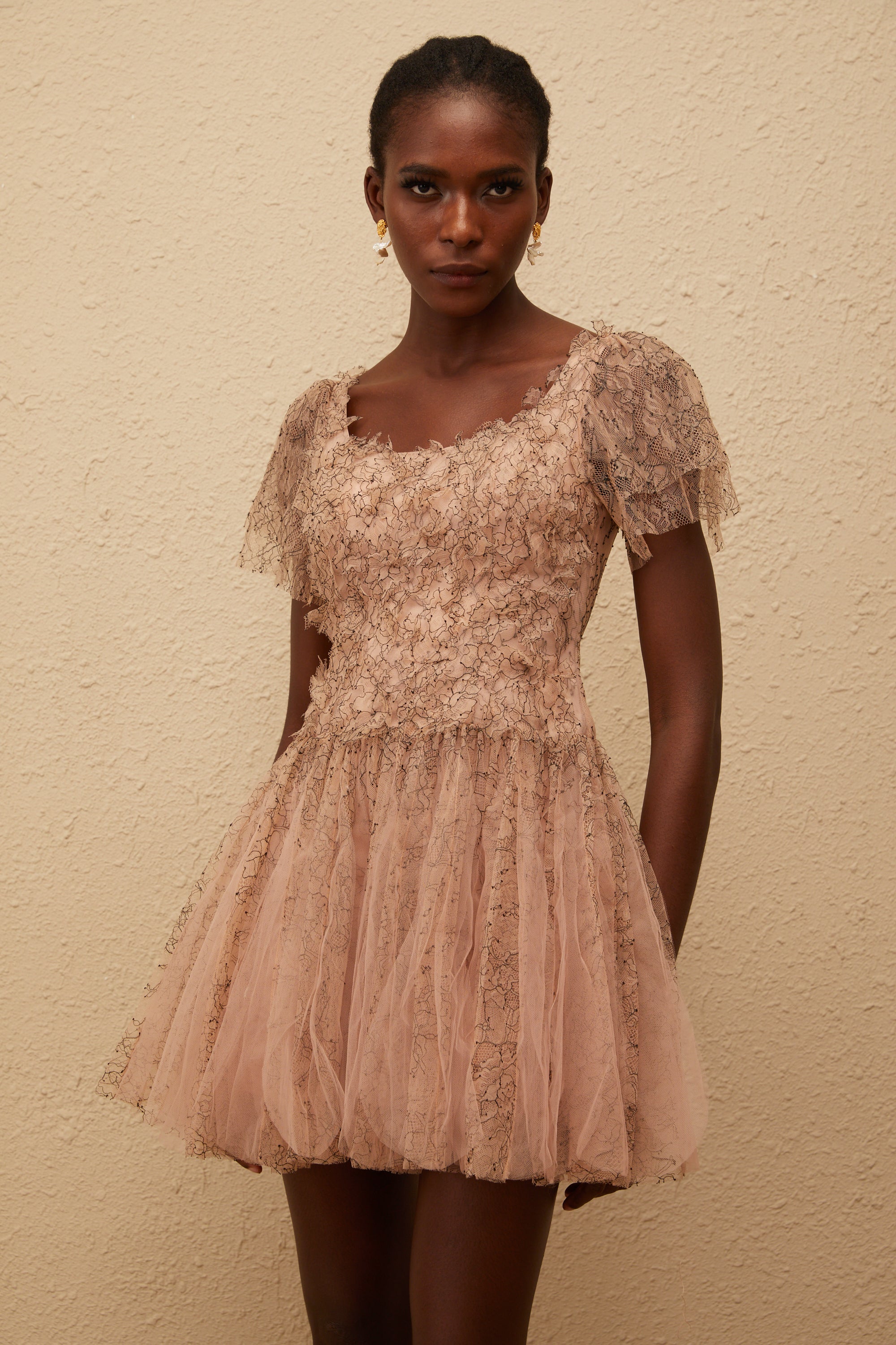Gaëtane Brown Tulle Panel Lace Mini Dress