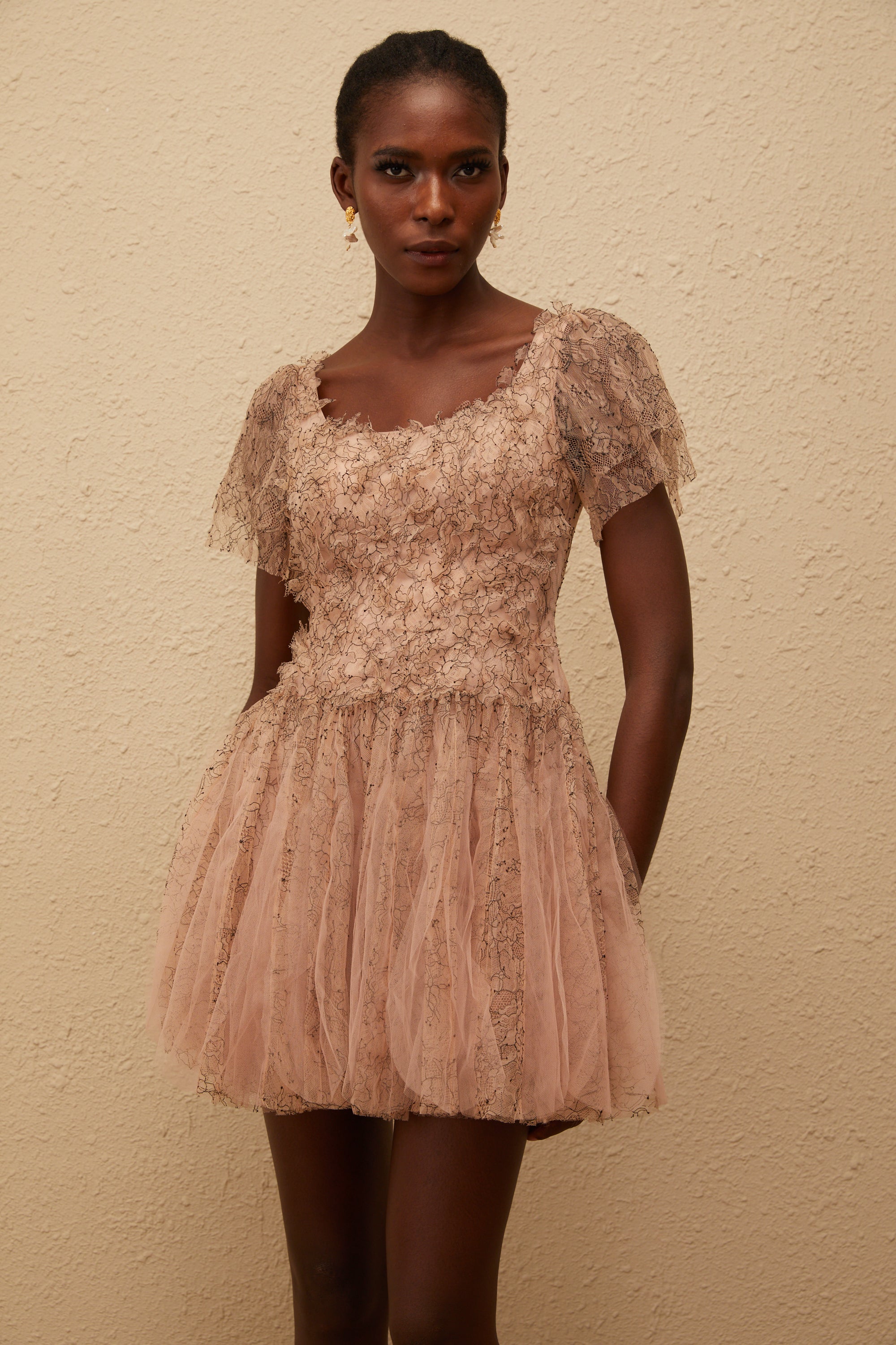 Gaëtane Brown Tulle Panel Lace Mini Dress